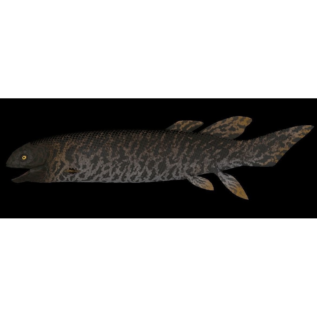 Prehistoric Fish 3D Model – Low Poly Animated Asset, FBX, PBR - View 11