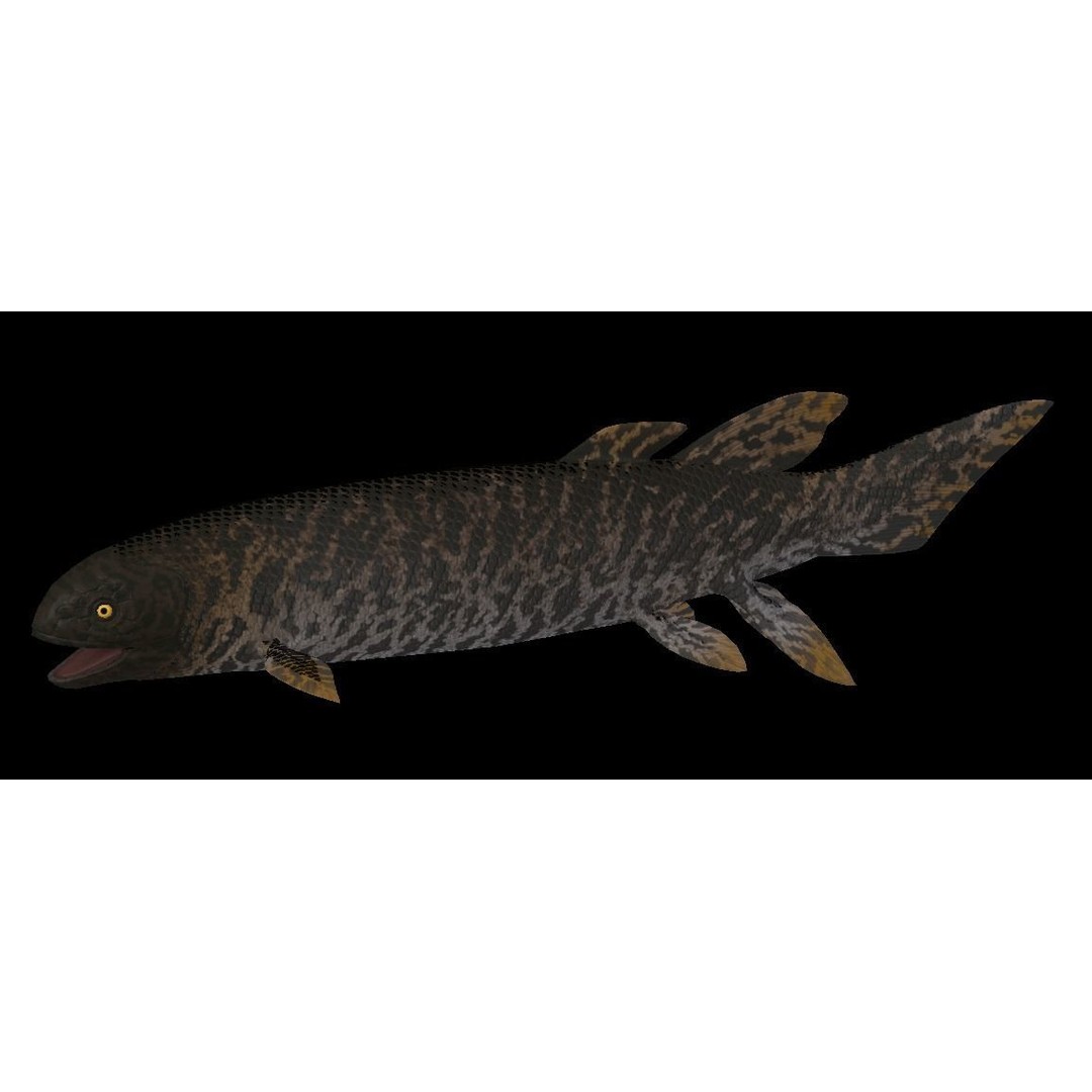 Prehistoric Fish 3D Model – Low Poly Animated Asset, FBX, PBR - View 12