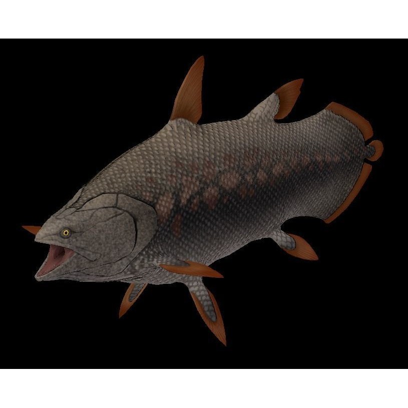 Prehistoric Fish 3D Model – Low Poly Animated Asset, FBX, PBR - View 13