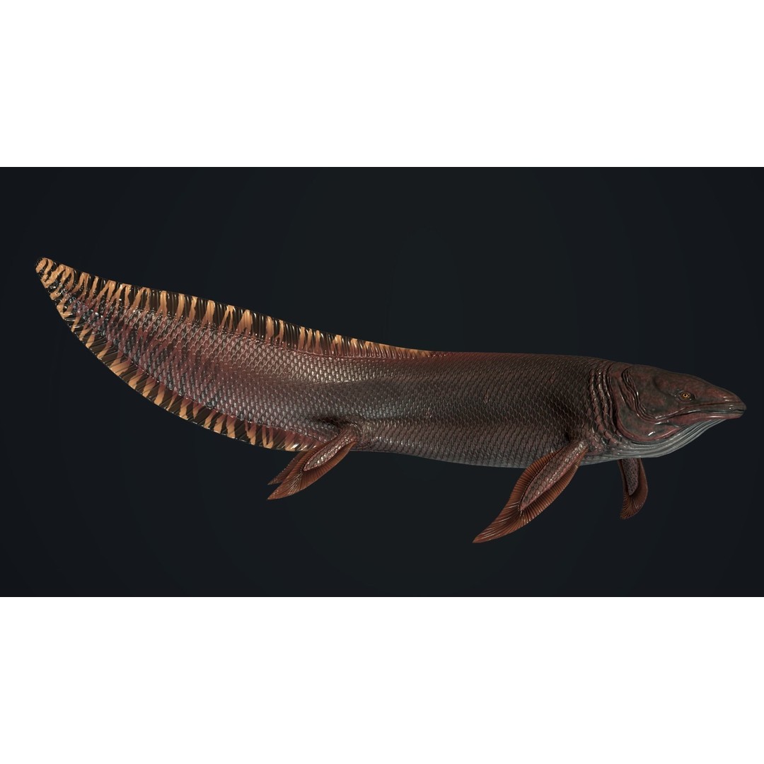 Prehistoric Fish 3D Model – Low Poly Animated Asset, FBX, PBR - View 2