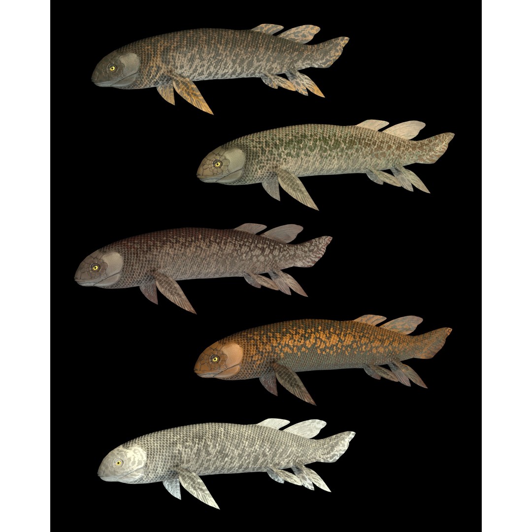 Prehistoric Fish 3D Model – Low Poly Animated Asset, FBX, PBR - View 4