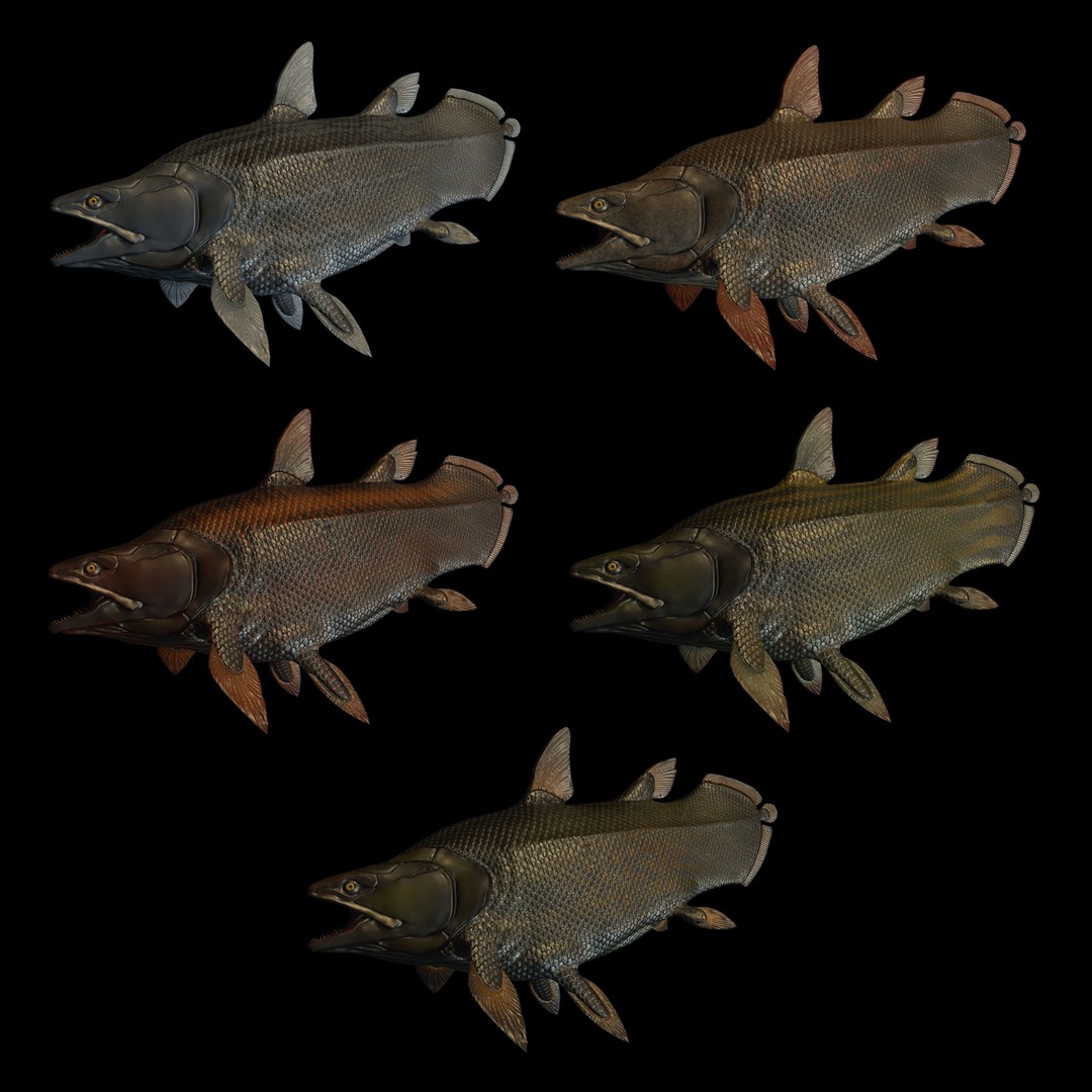 Prehistoric Fish 3D Model – Low Poly Animated Asset, FBX, PBR - View 6