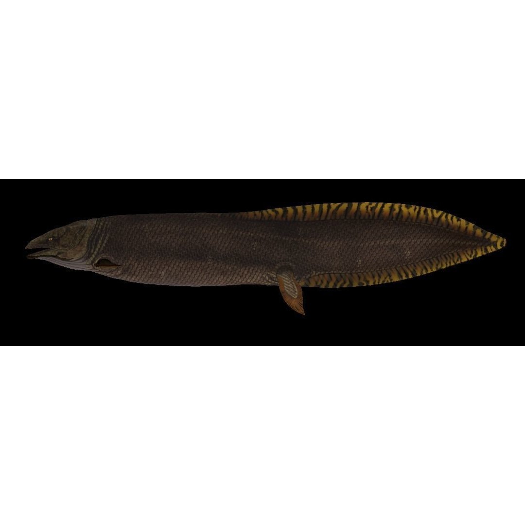 Prehistoric Fish 3D Model – Low Poly Animated Asset, FBX, PBR - View 7