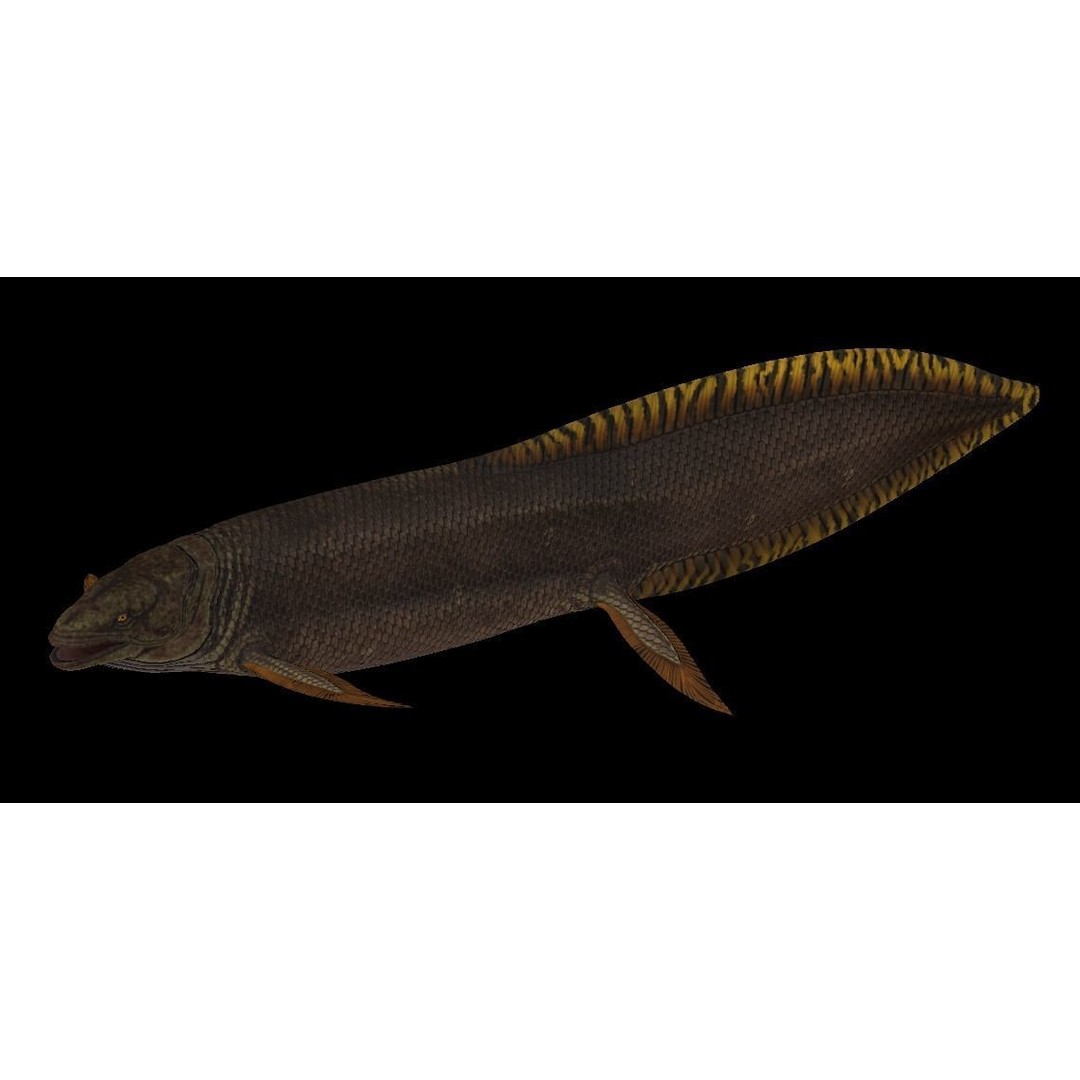 Prehistoric Fish 3D Model – Low Poly Animated Asset, FBX, PBR - View 8
