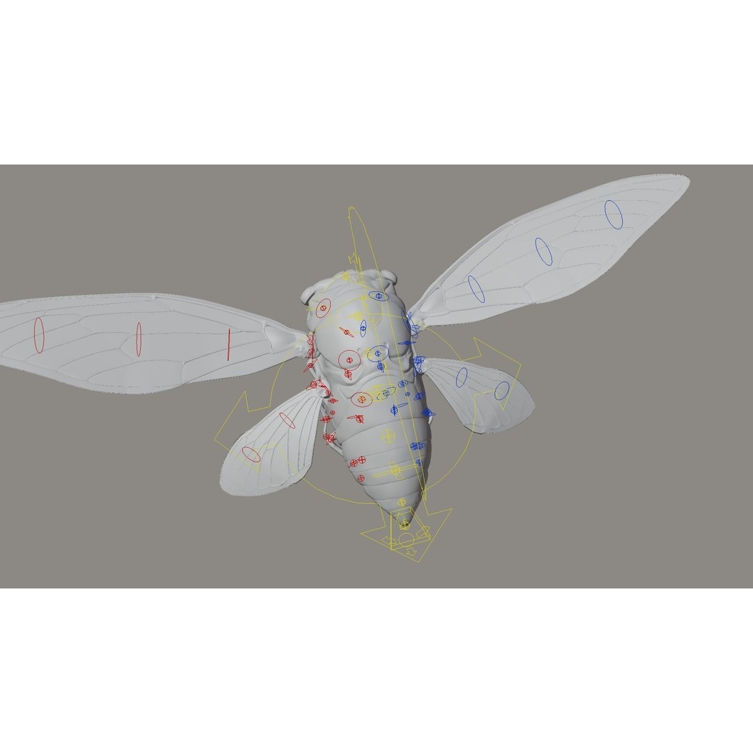 Cicada 3D Model – Realistic Animated Insect with Rigging and Textures - View 23