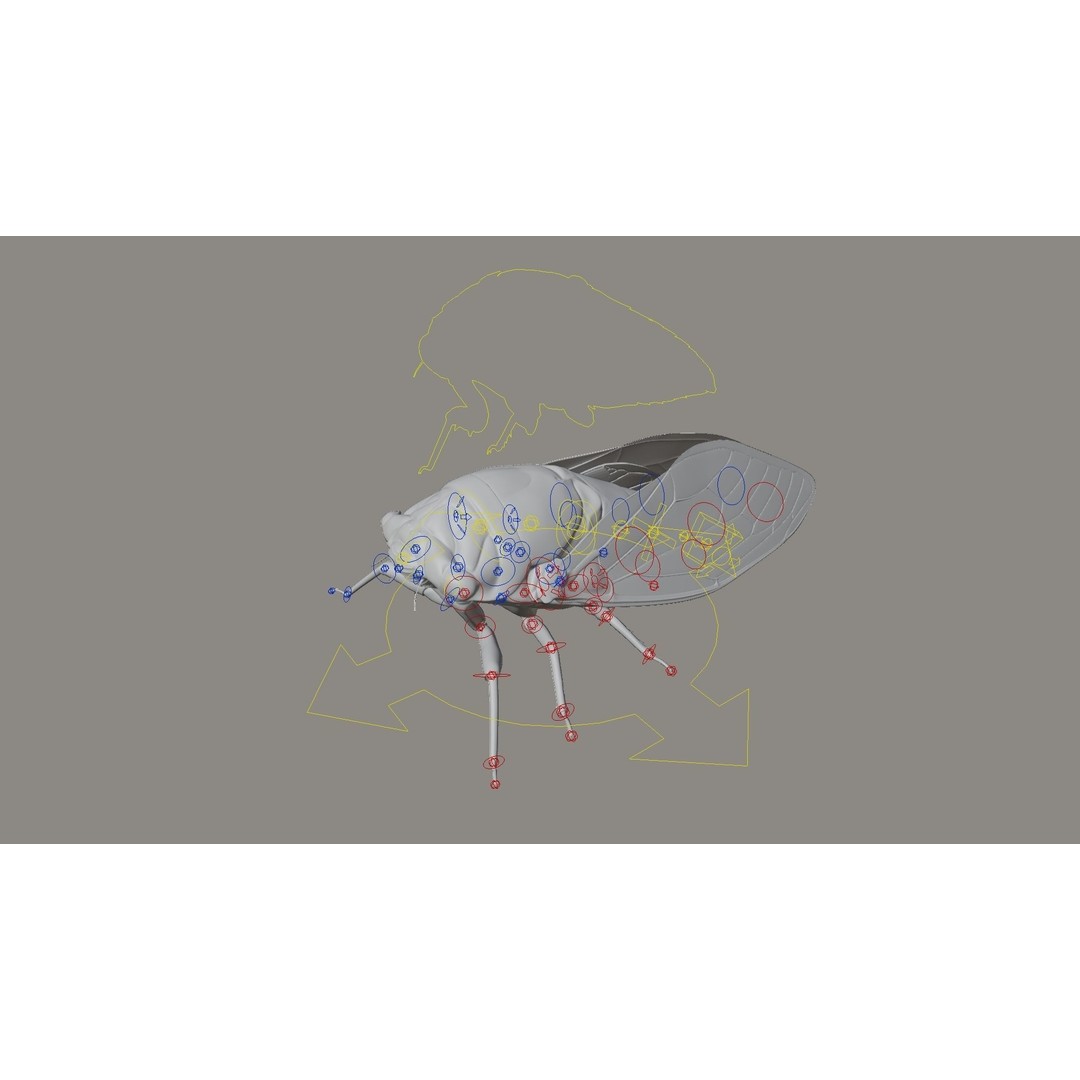Cicada 3D Model – Realistic Animated Insect with Rigging and Textures - View 25