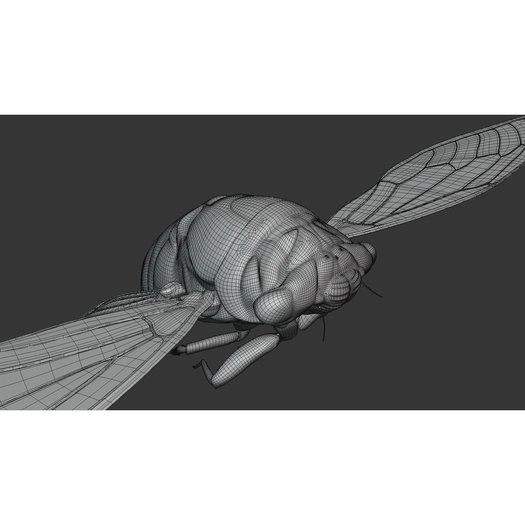 Cicada 3D Model – Realistic Animated Insect with Rigging and Textures - View 41
