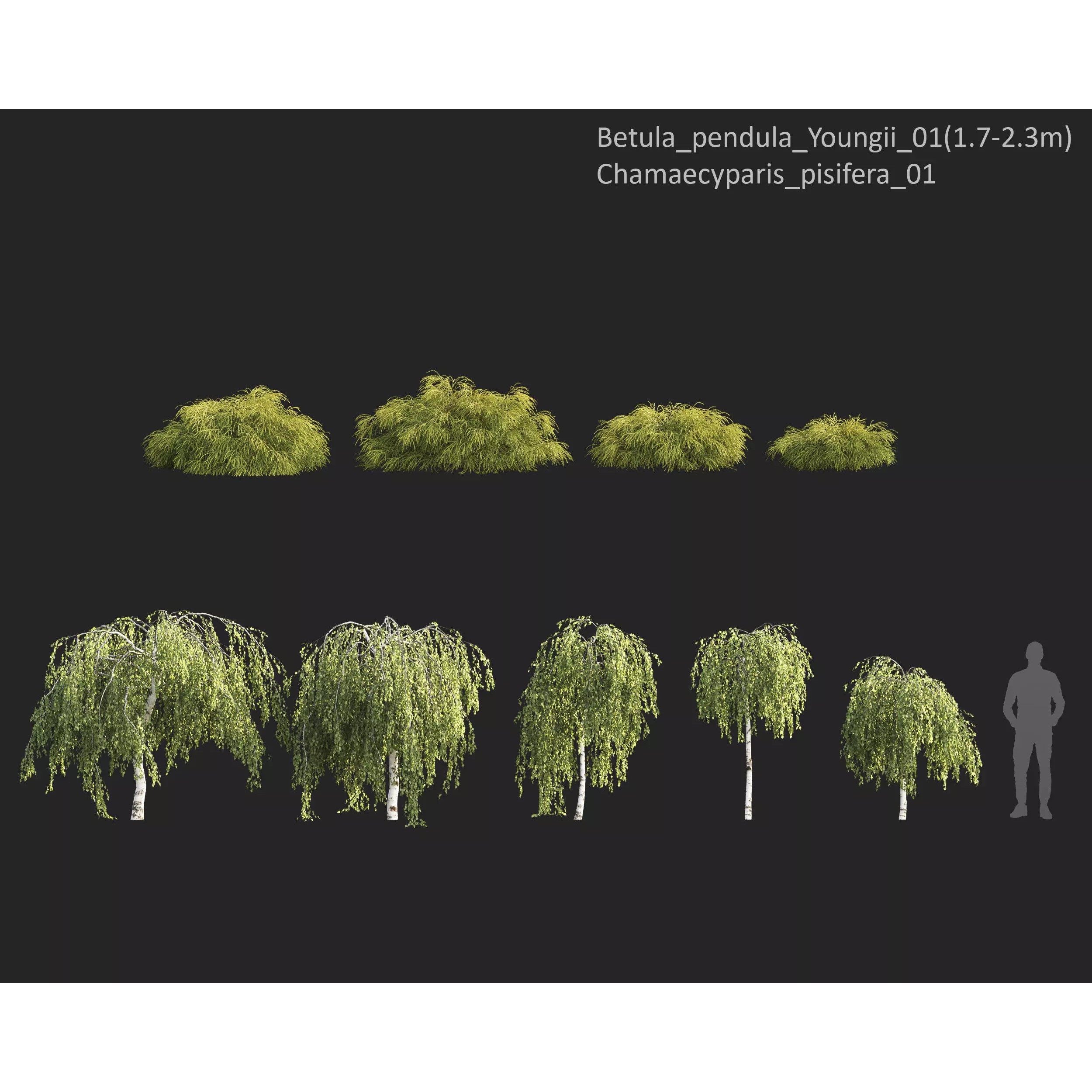 Plants Collection 1 - PBR Game-Ready 3D Model - View 10