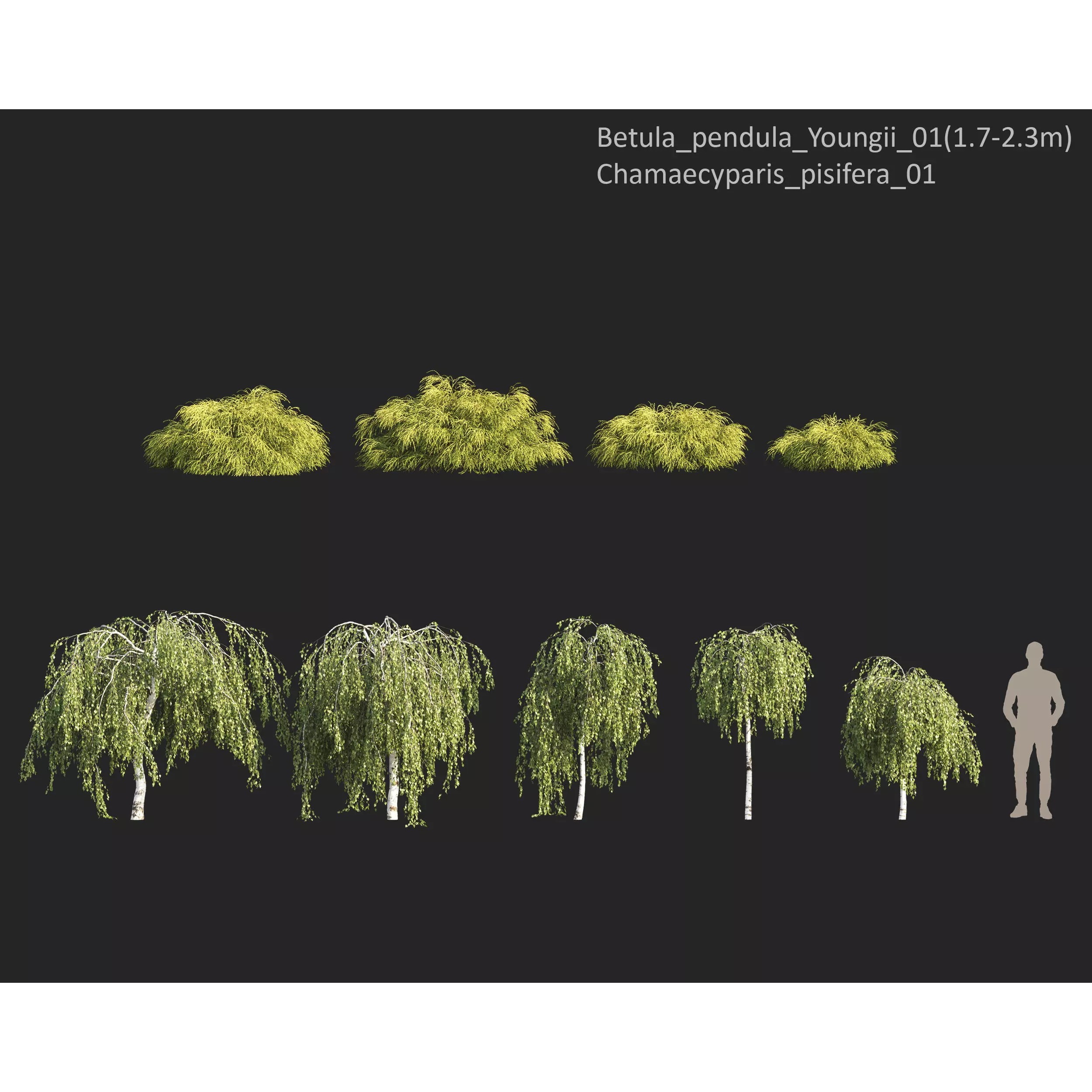 Plants Collection 1 - PBR Game-Ready 3D Model - View 11