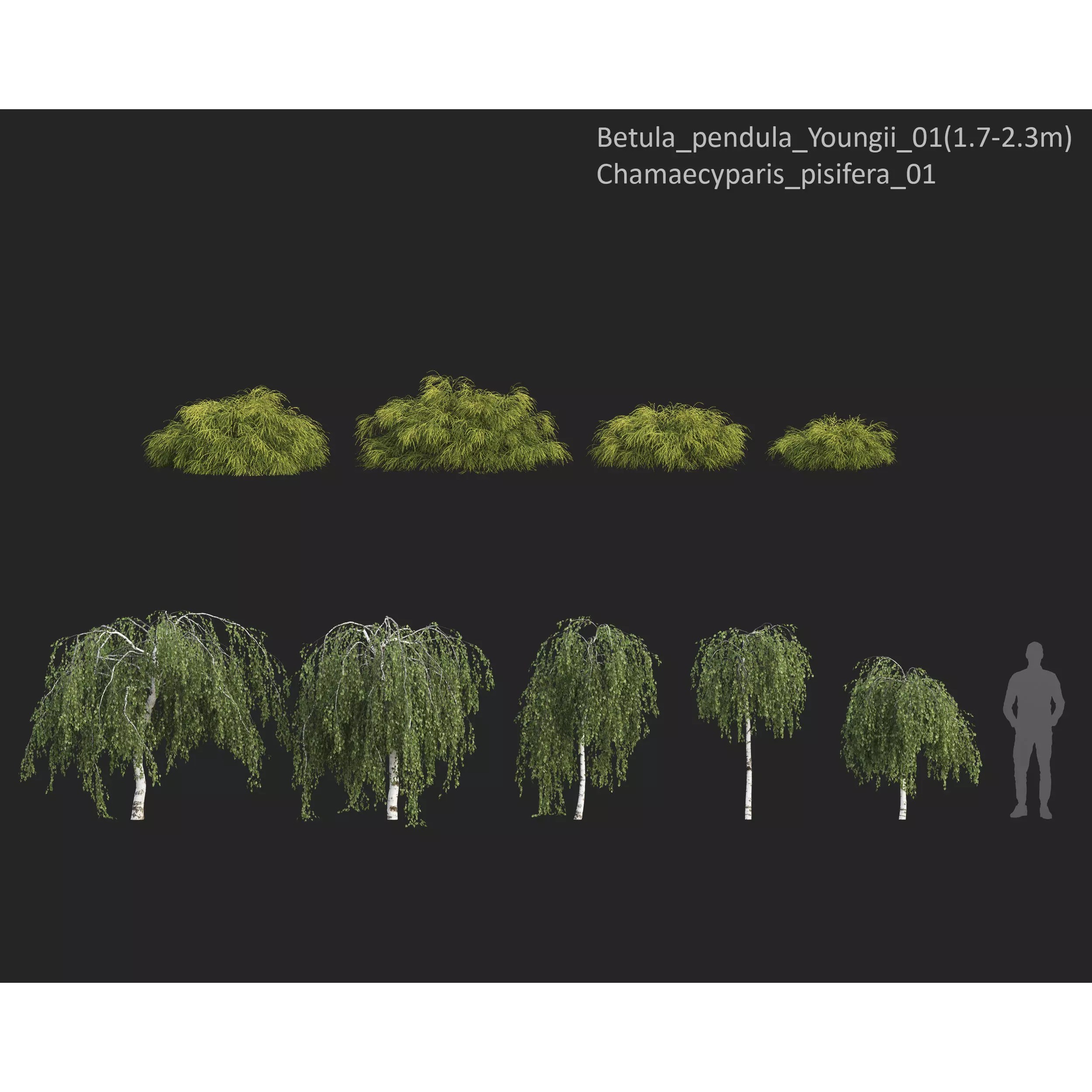 Plants Collection 1 - PBR Game-Ready 3D Model - View 12