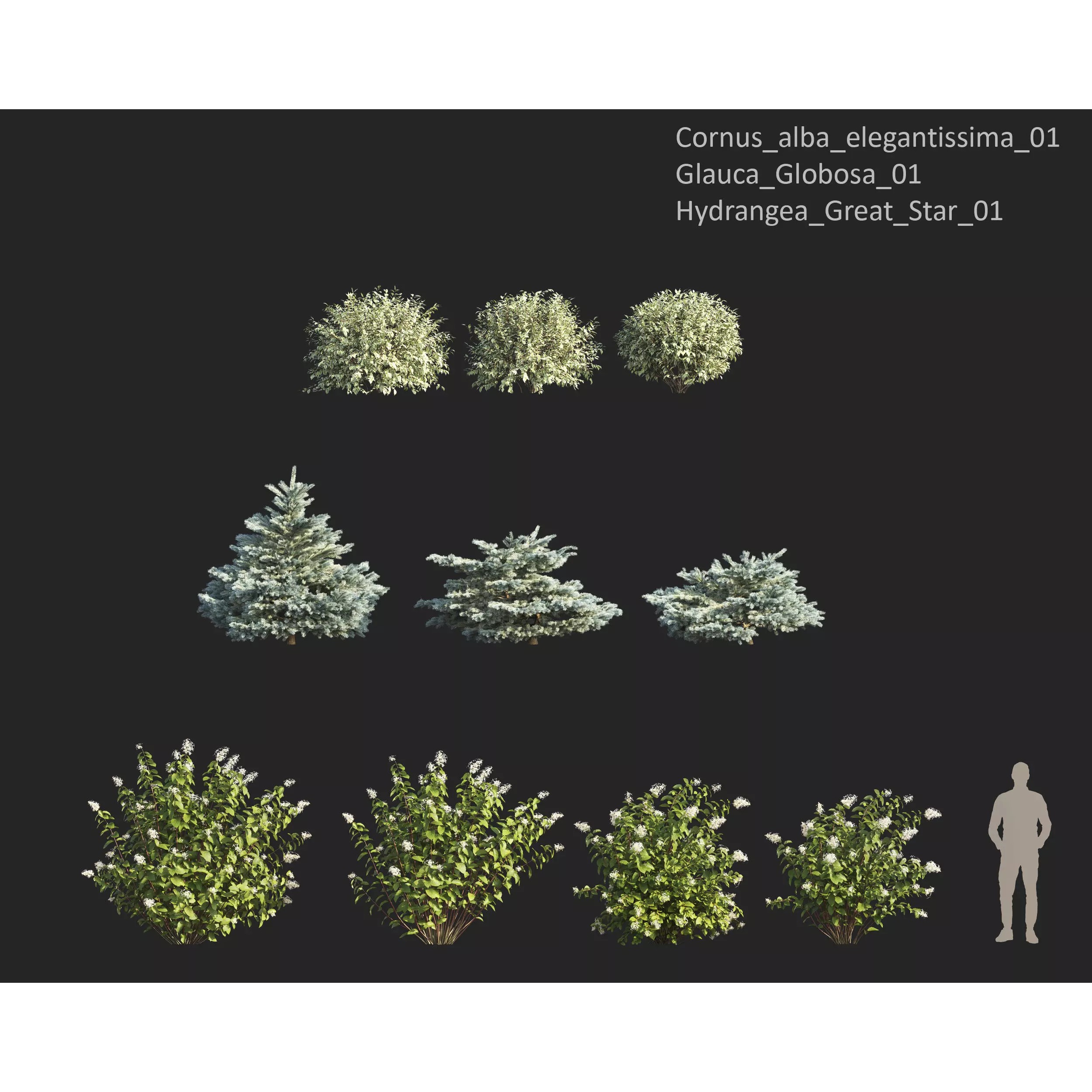 Plants Collection 1 - PBR Game-Ready 3D Model - View 14