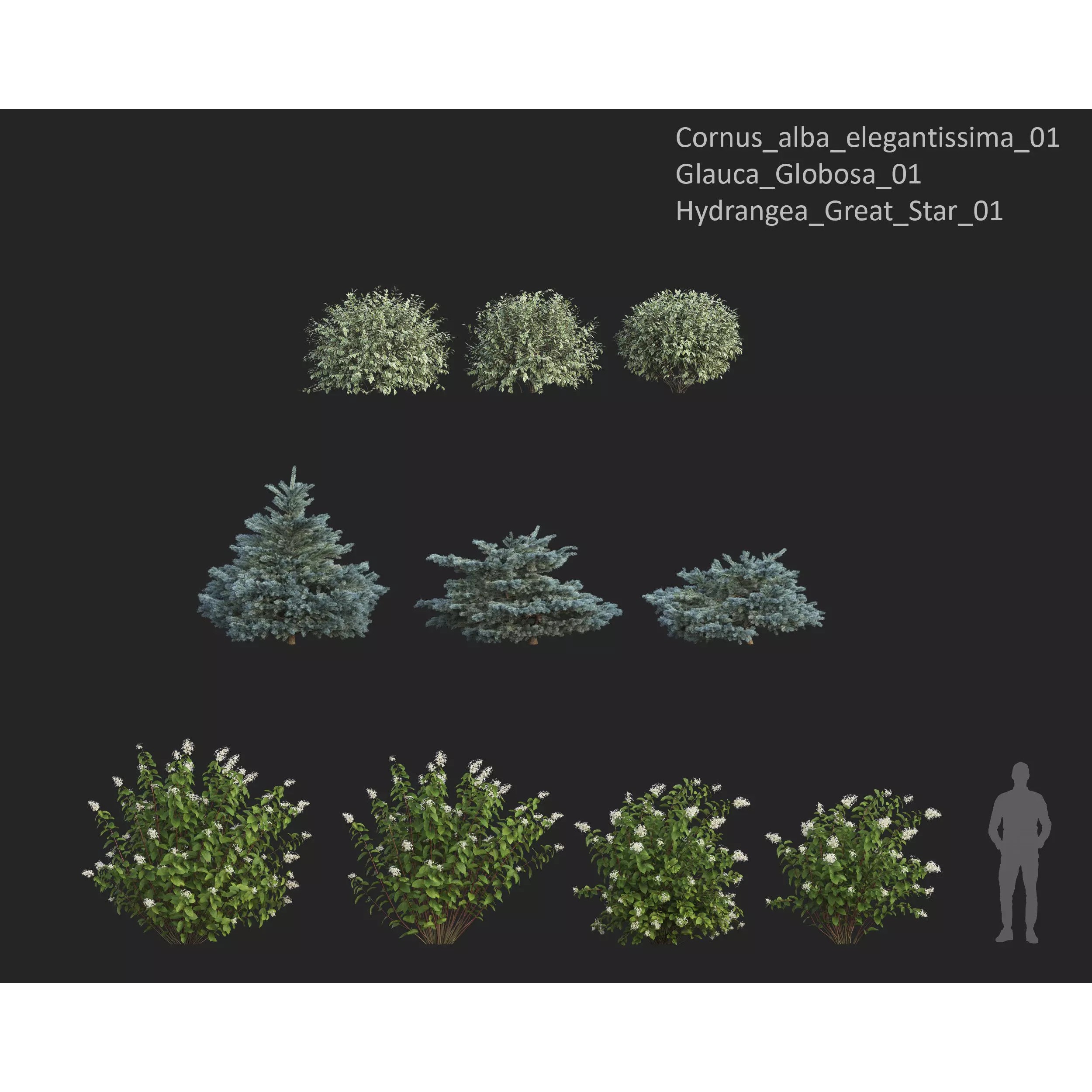 Plants Collection 1 - PBR Game-Ready 3D Model - View 15