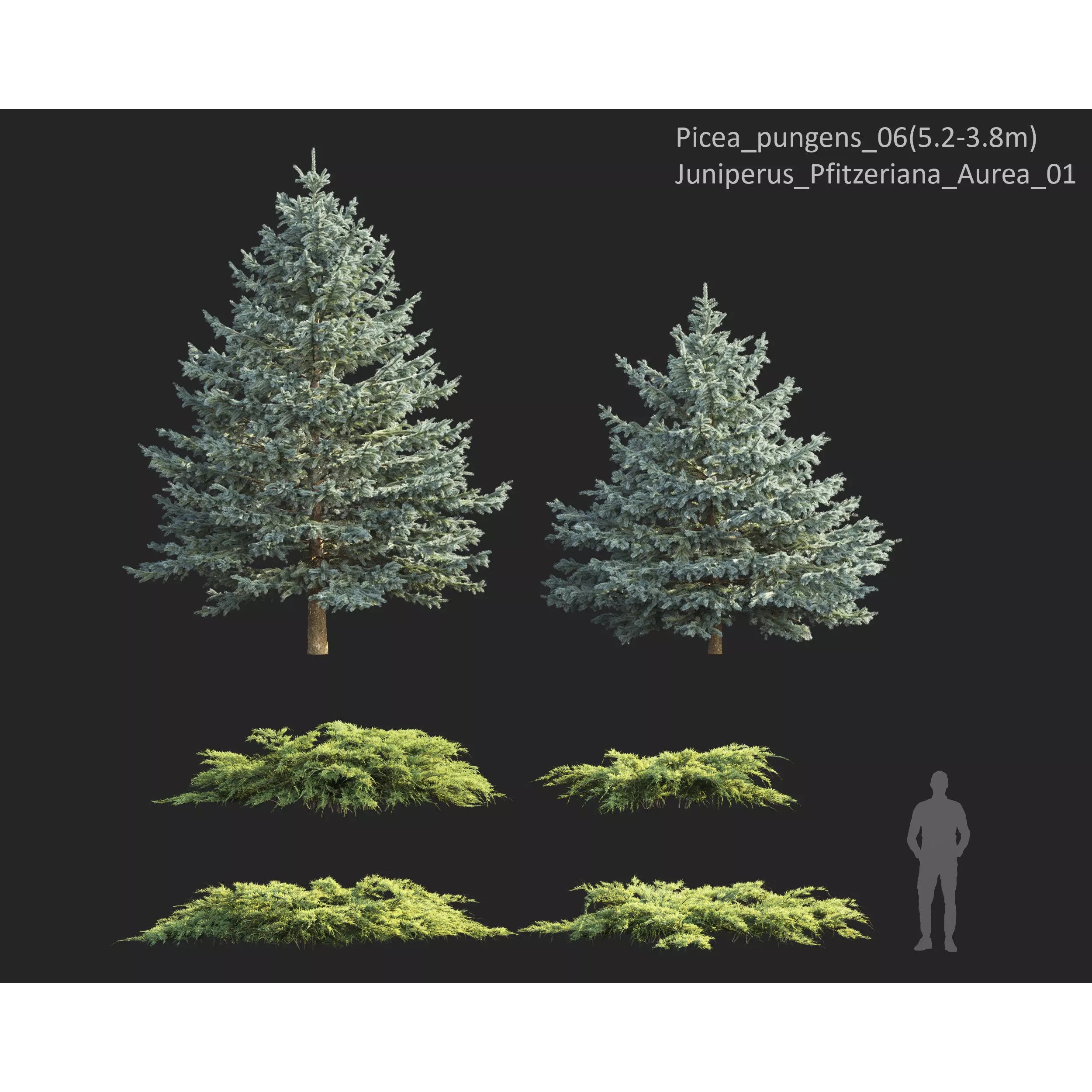 Plants Collection 1 - PBR Game-Ready 3D Model - View 16