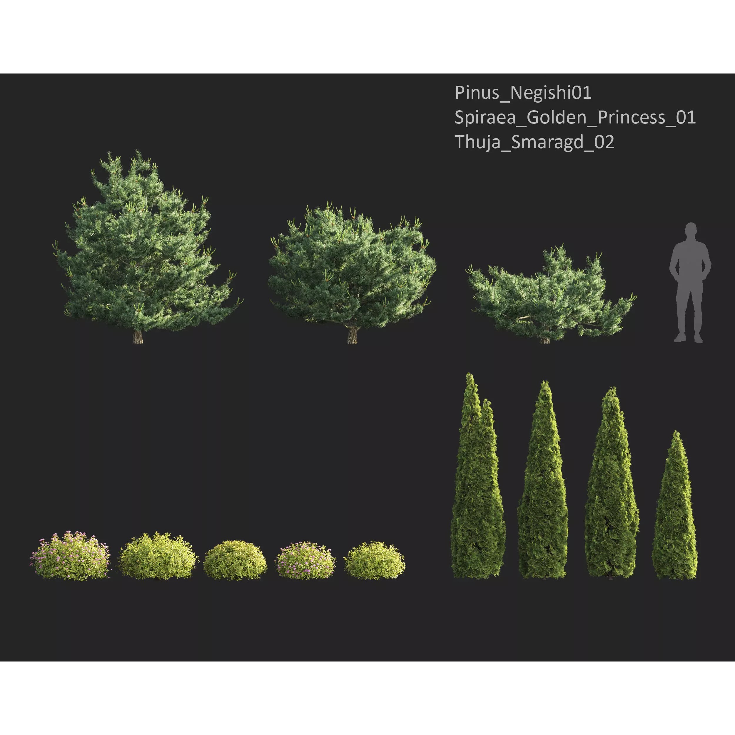 Plants Collection 1 - PBR Game-Ready 3D Model - View 20