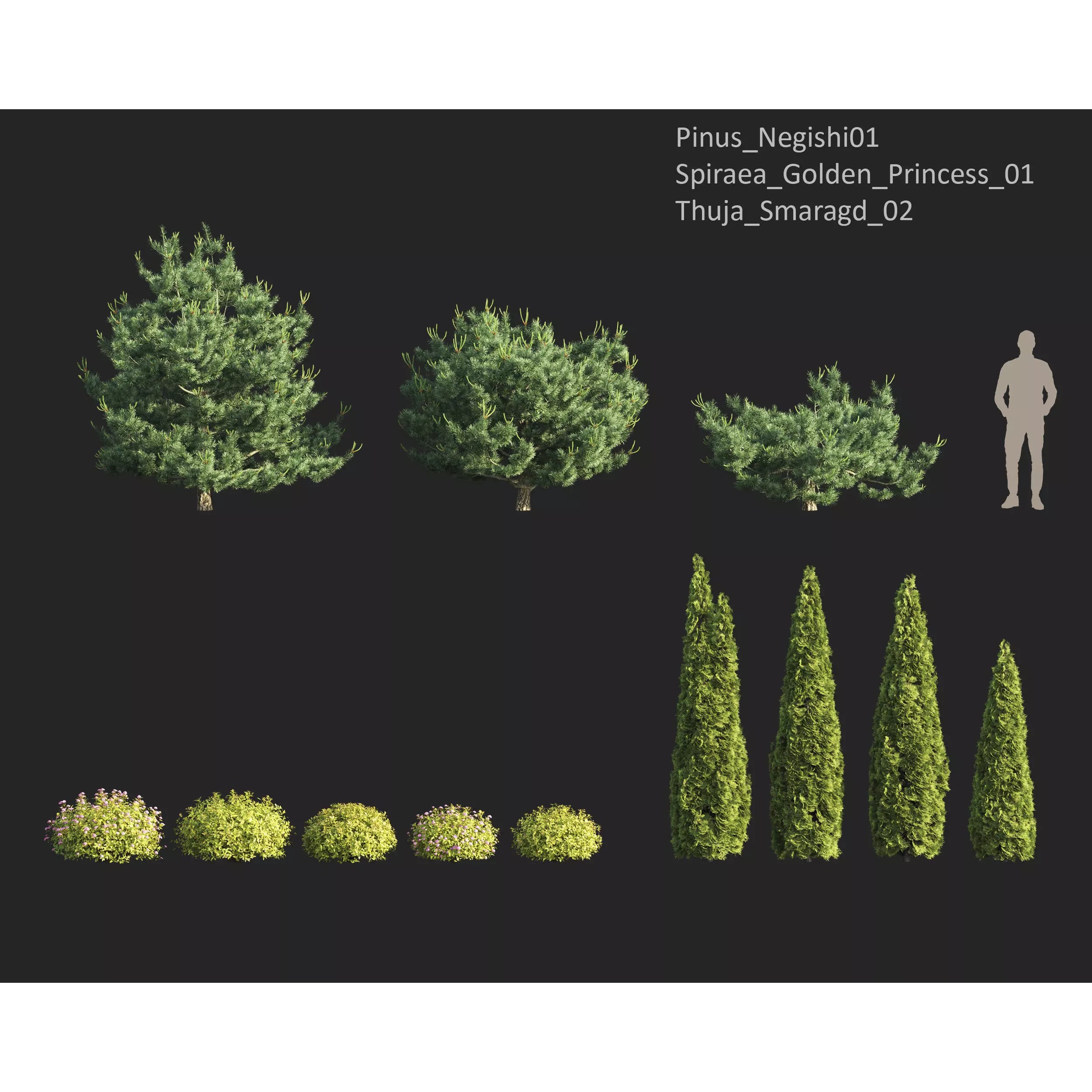 Plants Collection 1 - PBR Game-Ready 3D Model - View 21