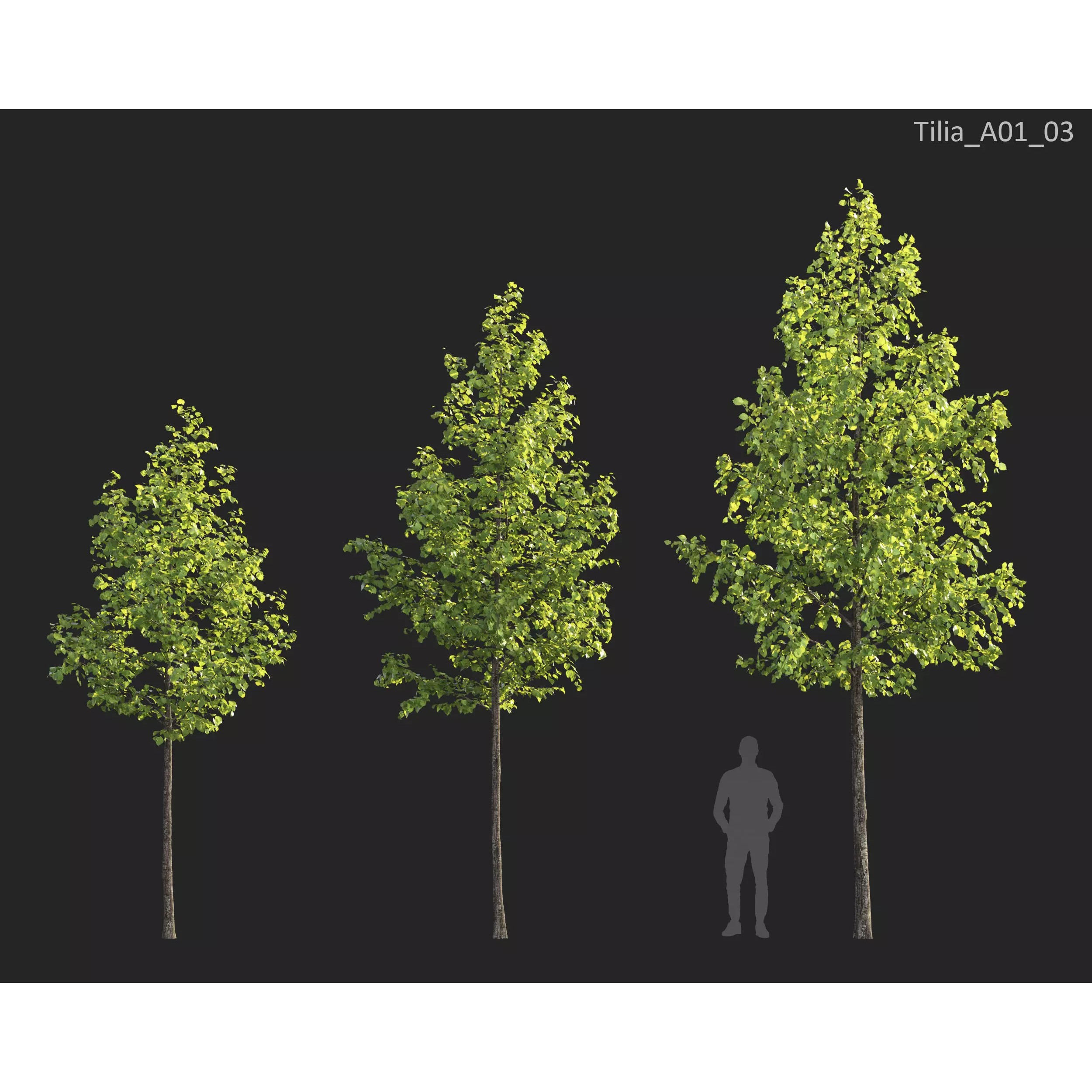 Plants Collection 1 - PBR Game-Ready 3D Model - View 22