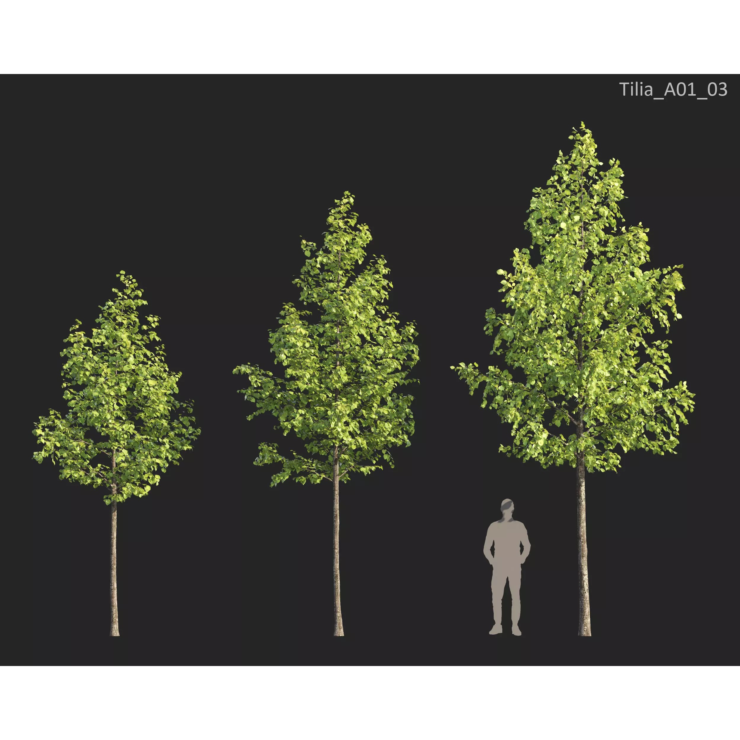 Plants Collection 1 - PBR Game-Ready 3D Model - View 23