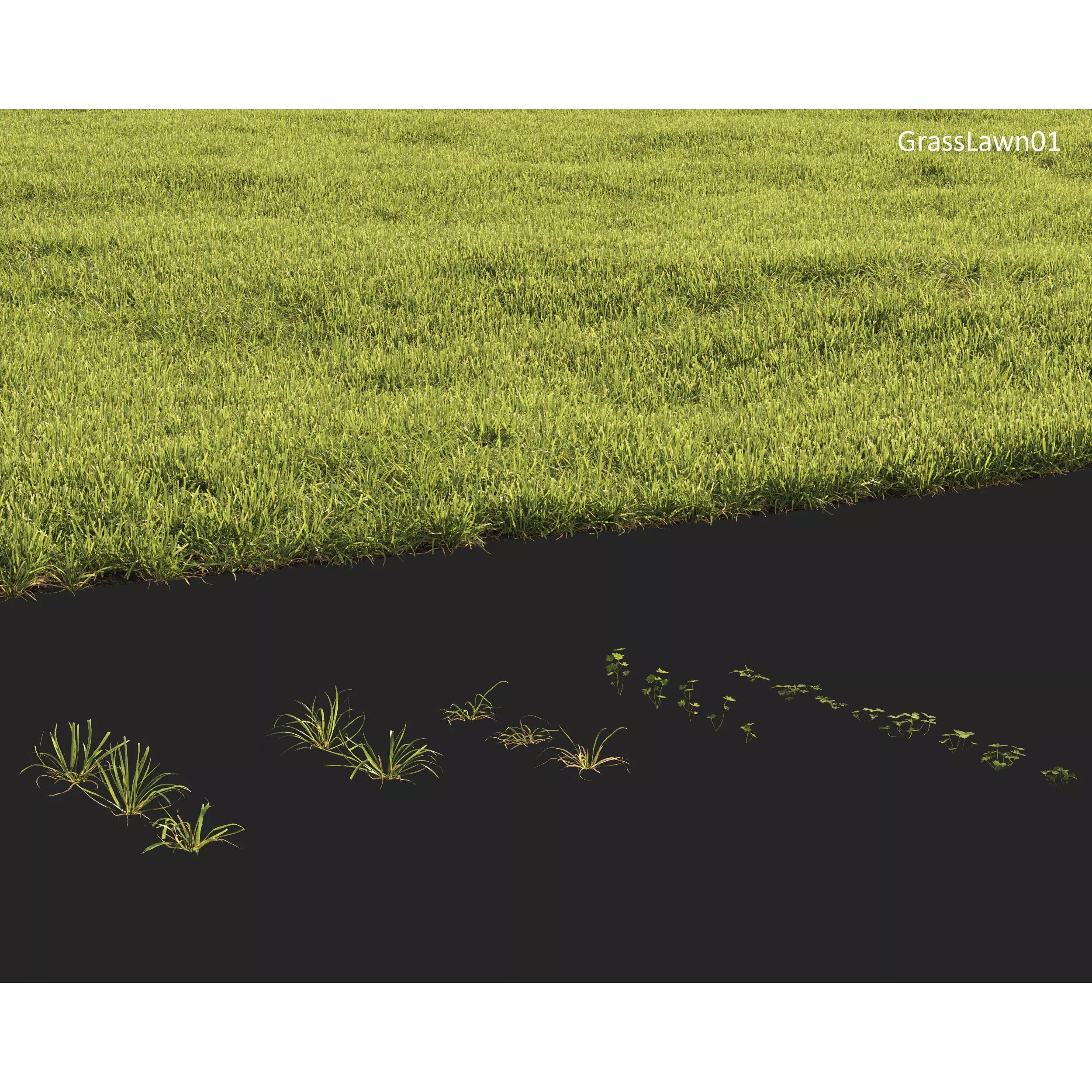 Plants Collection 1 - PBR Game-Ready 3D Model - View 25