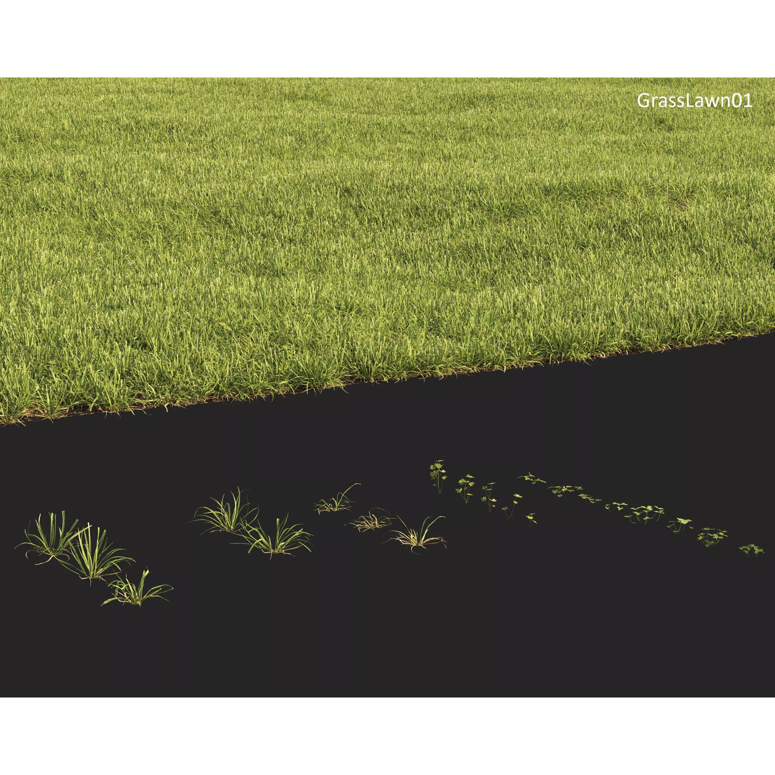 Plants Collection 1 - PBR Game-Ready 3D Model - View 26