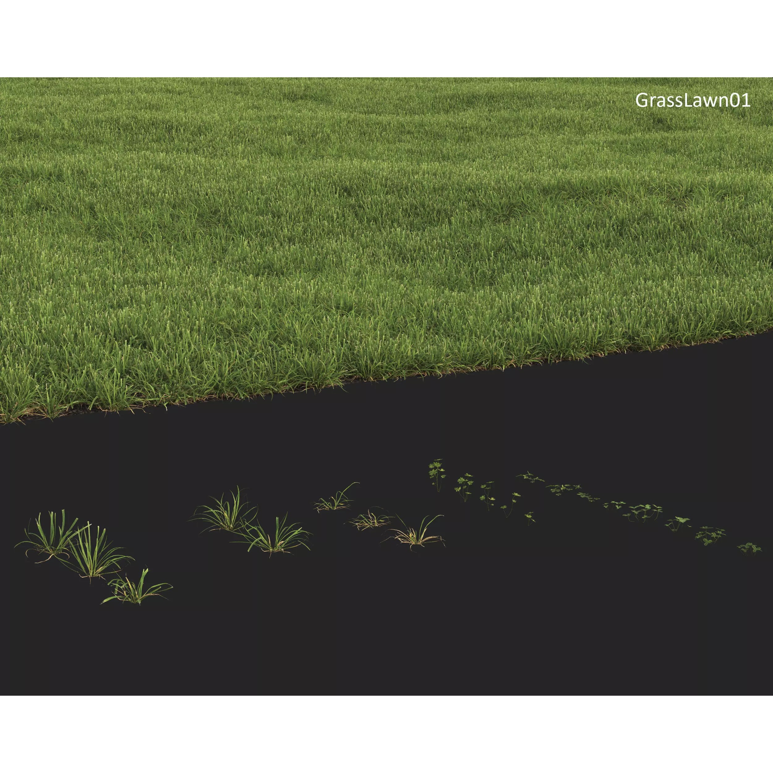 Plants Collection 1 - PBR Game-Ready 3D Model - View 27