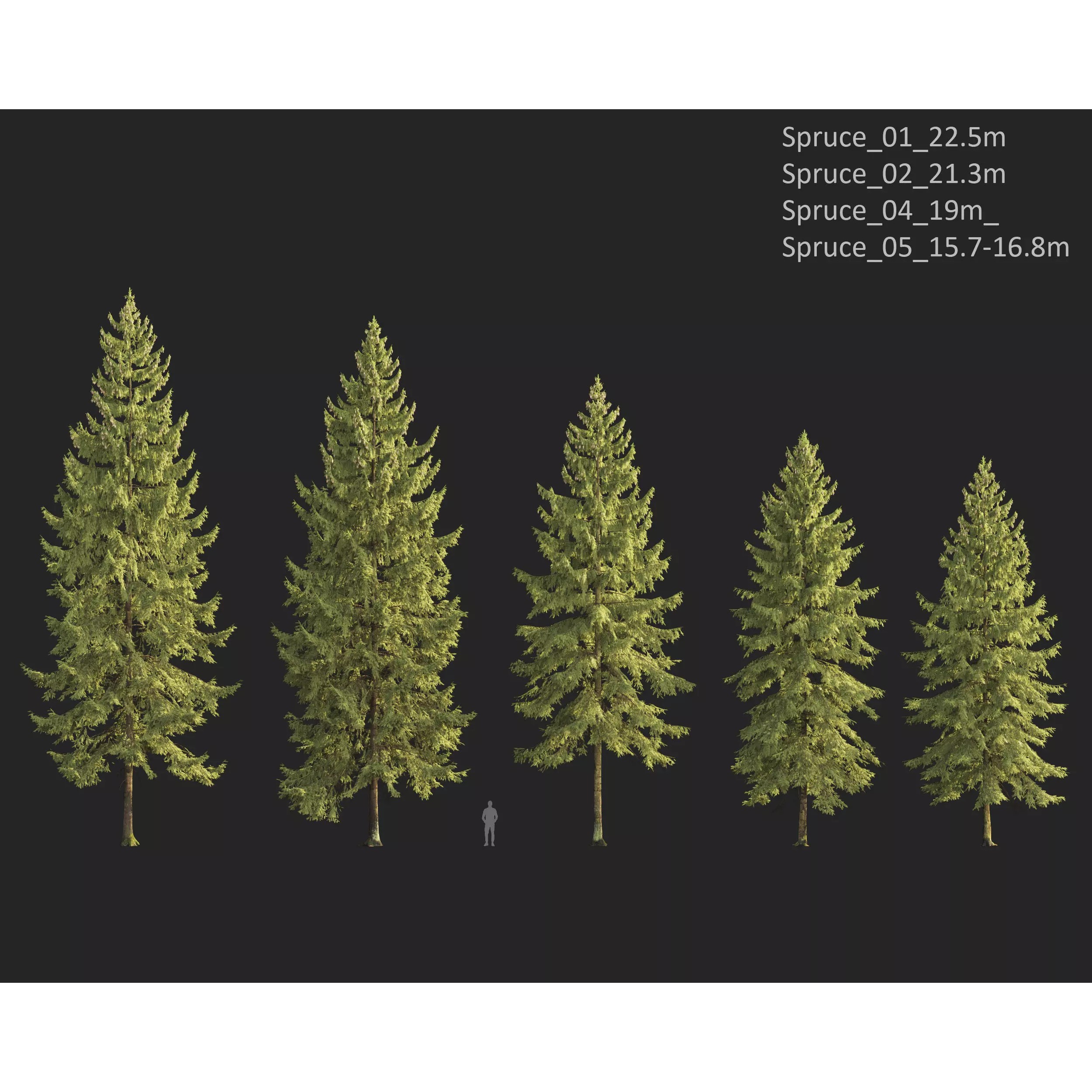 Plants Collection 1 - PBR Game-Ready 3D Model - View 28