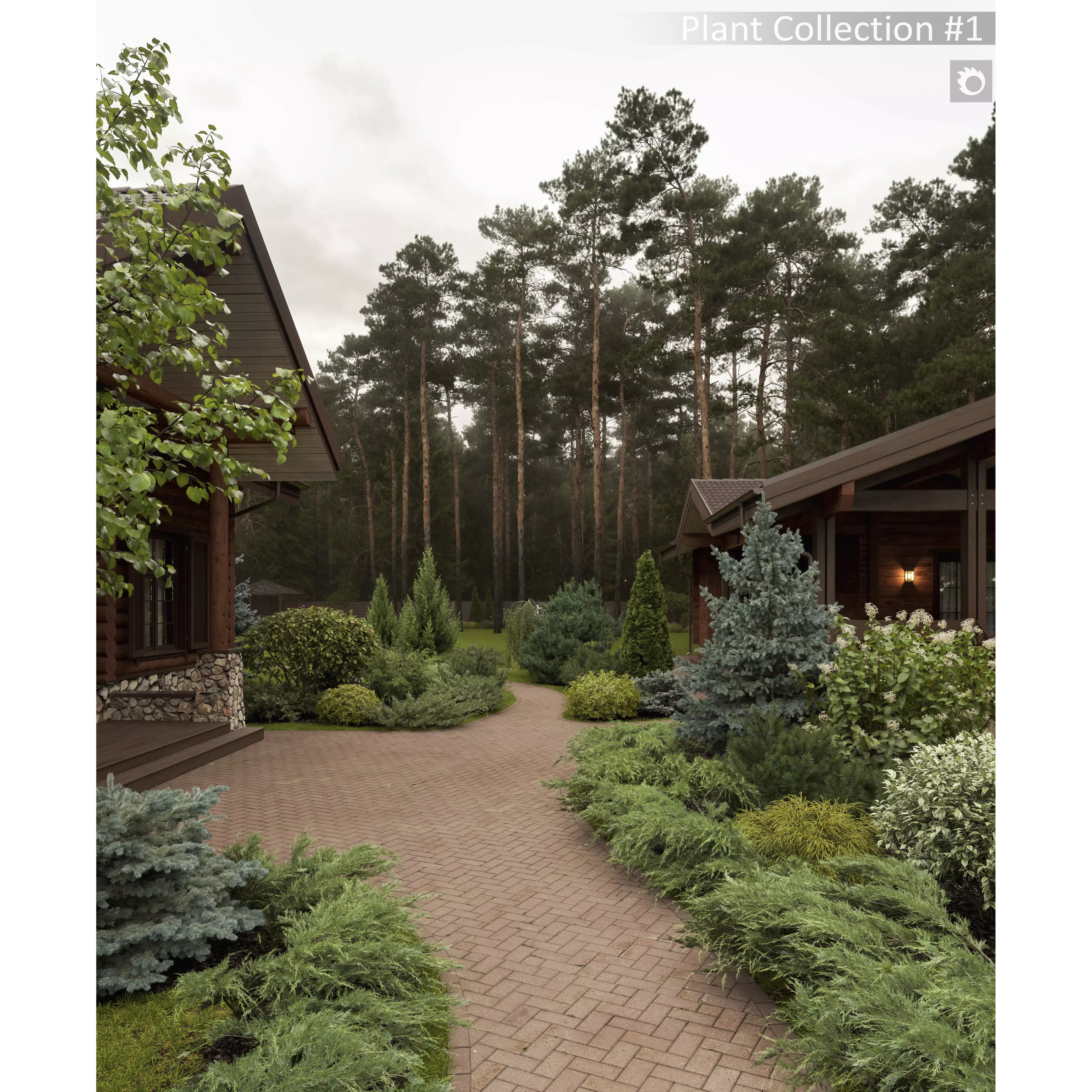 Plants Collection 1 - PBR Game-Ready 3D Model - View 3