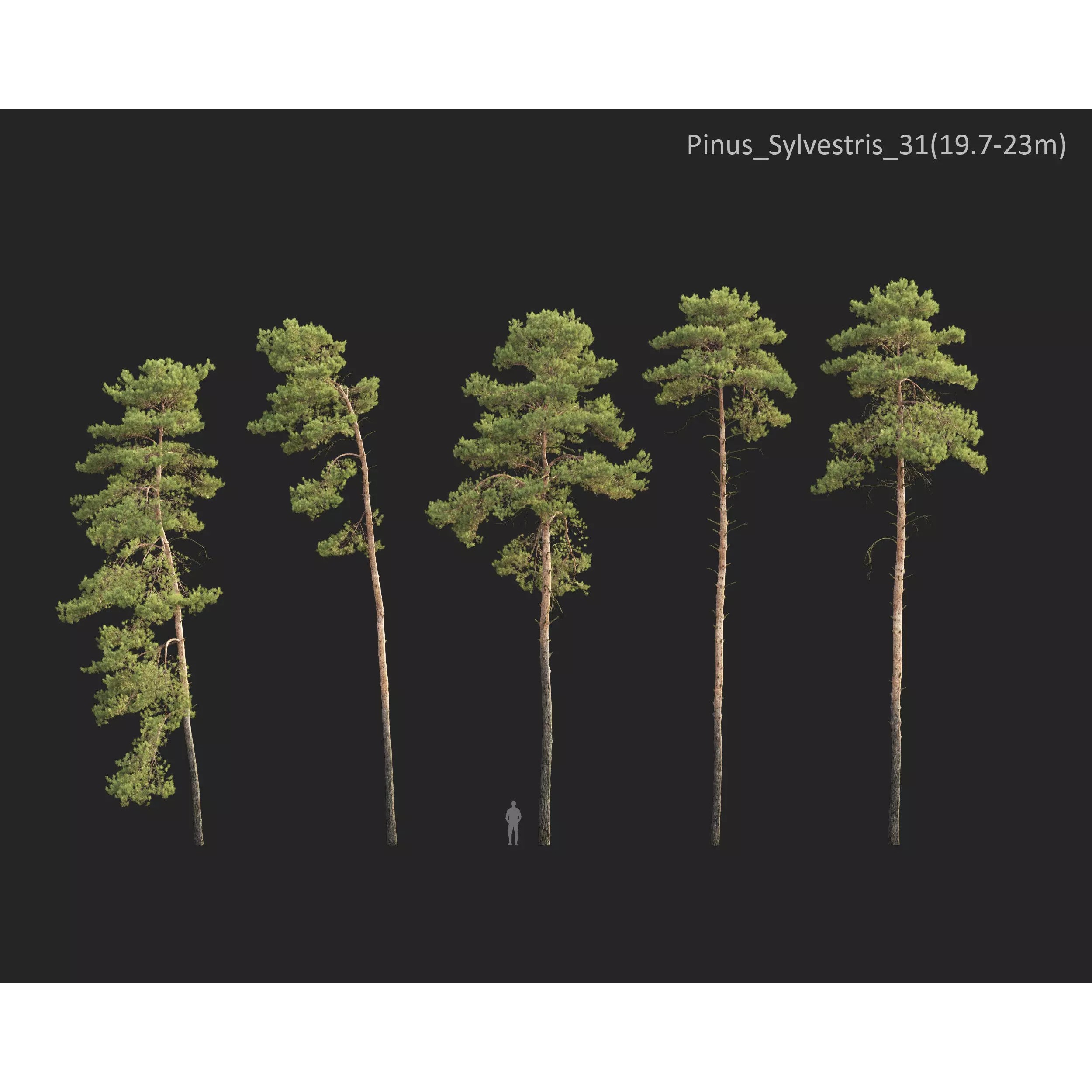 Plants Collection 1 - PBR Game-Ready 3D Model - View 31