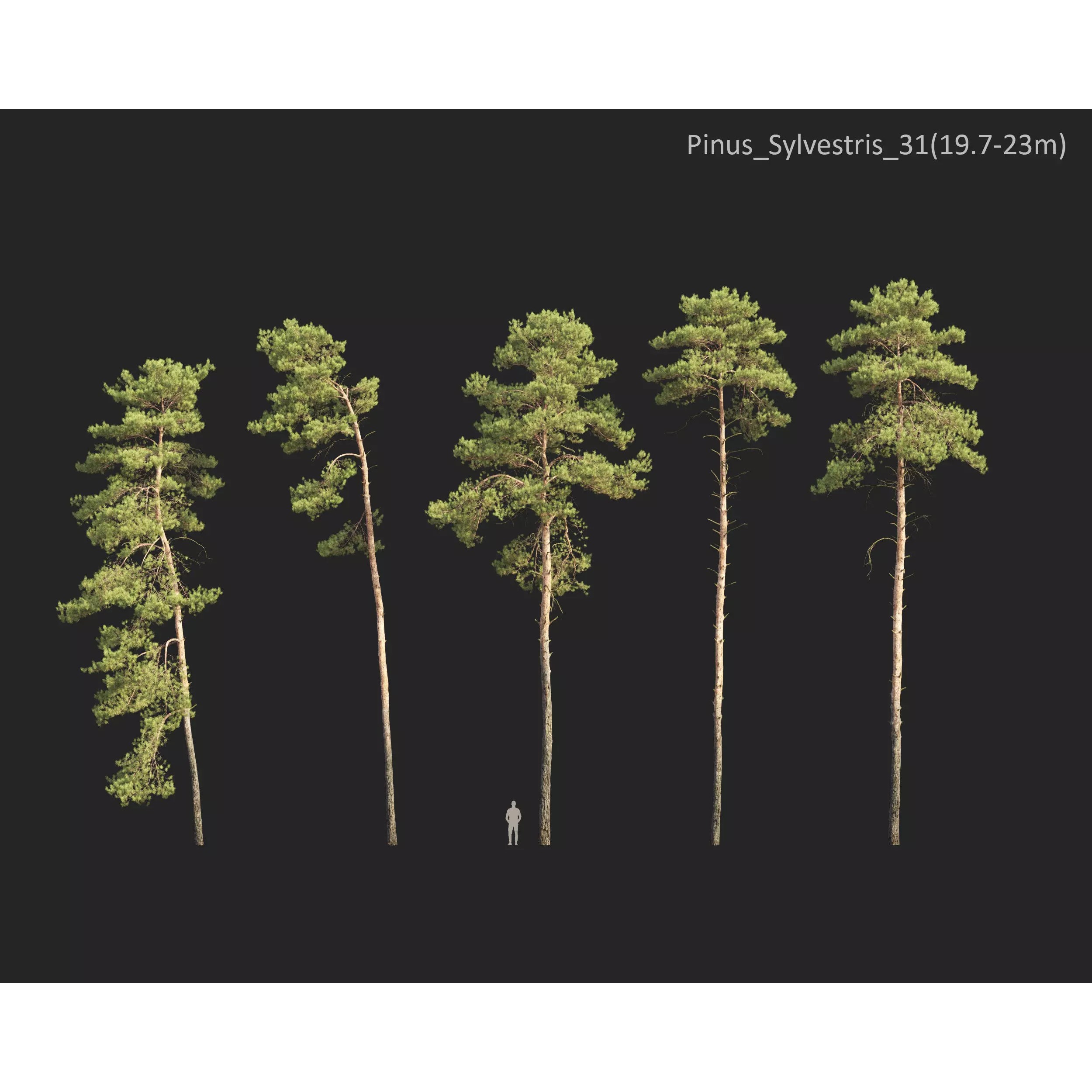 Plants Collection 1 - PBR Game-Ready 3D Model - View 32