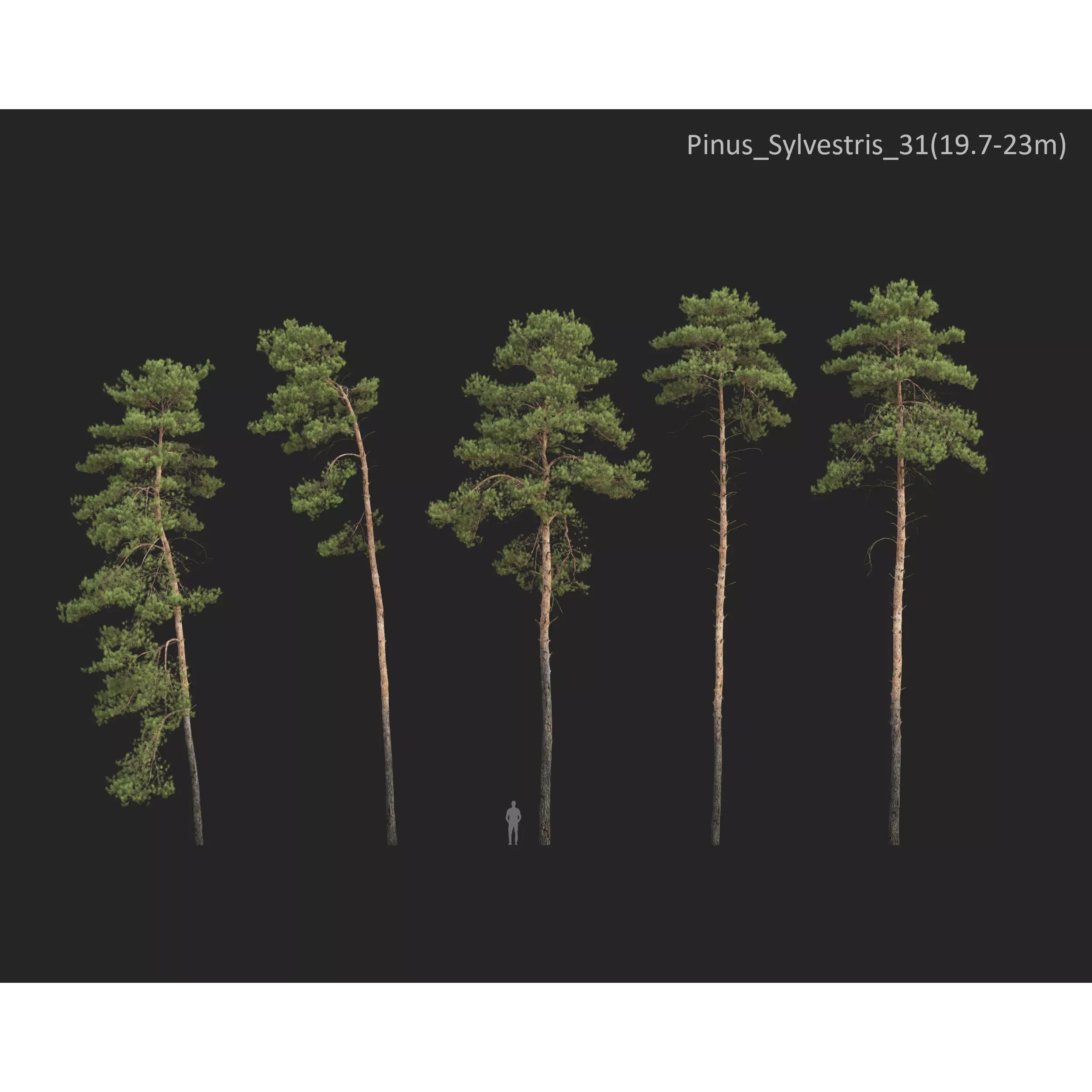 Plants Collection 1 - PBR Game-Ready 3D Model - View 33