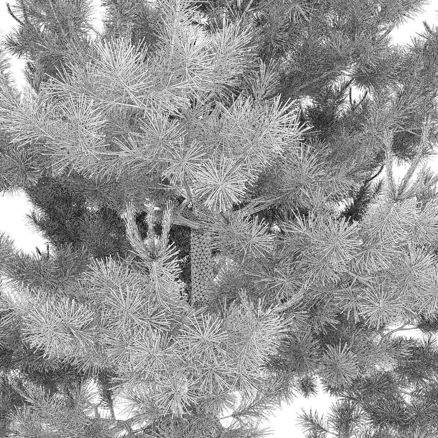 Plants Collection 1 - PBR Game-Ready 3D Model - View 36