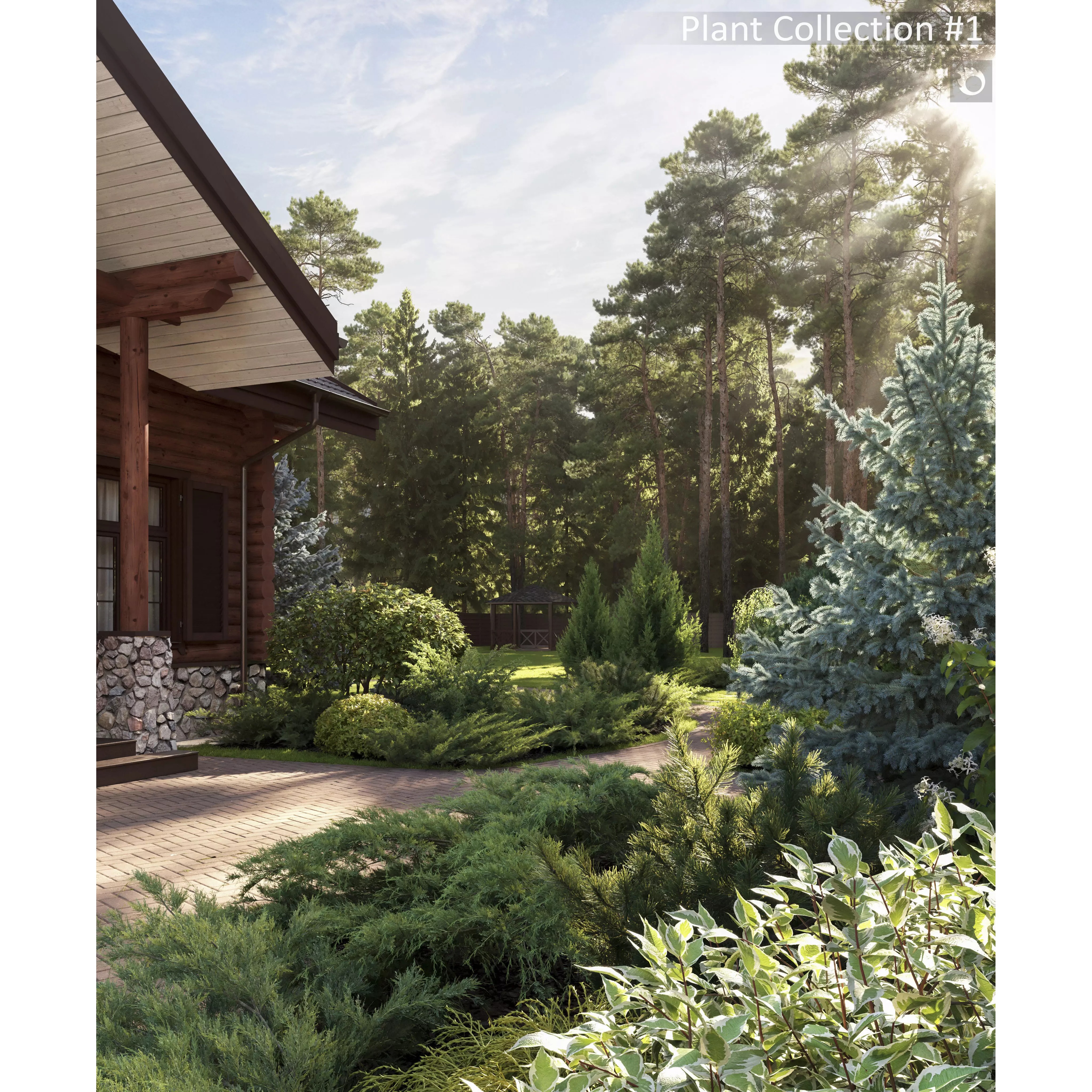 Plants Collection 1 - PBR Game-Ready 3D Model - View 4