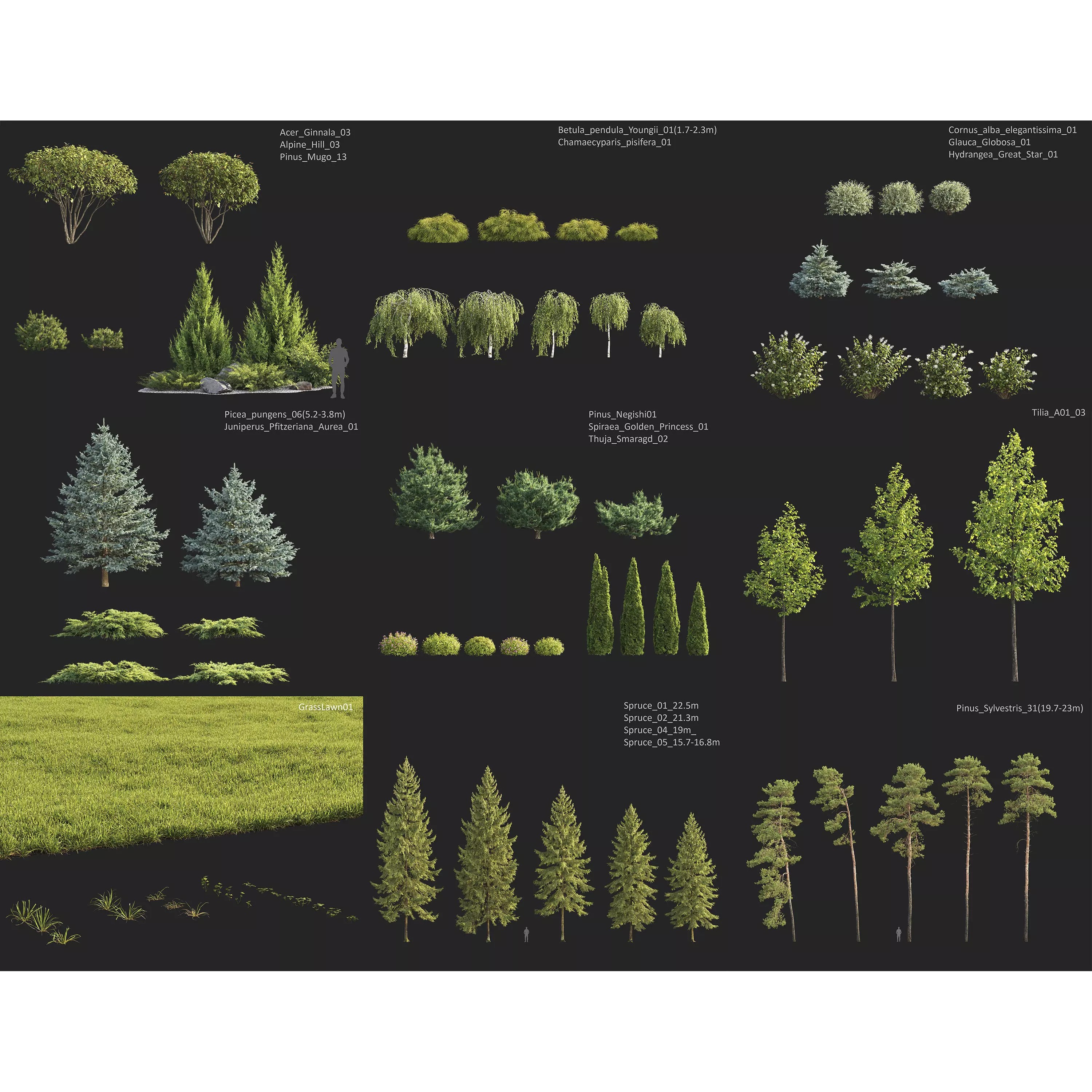 Plants Collection 1 - PBR Game-Ready 3D Model - View 6
