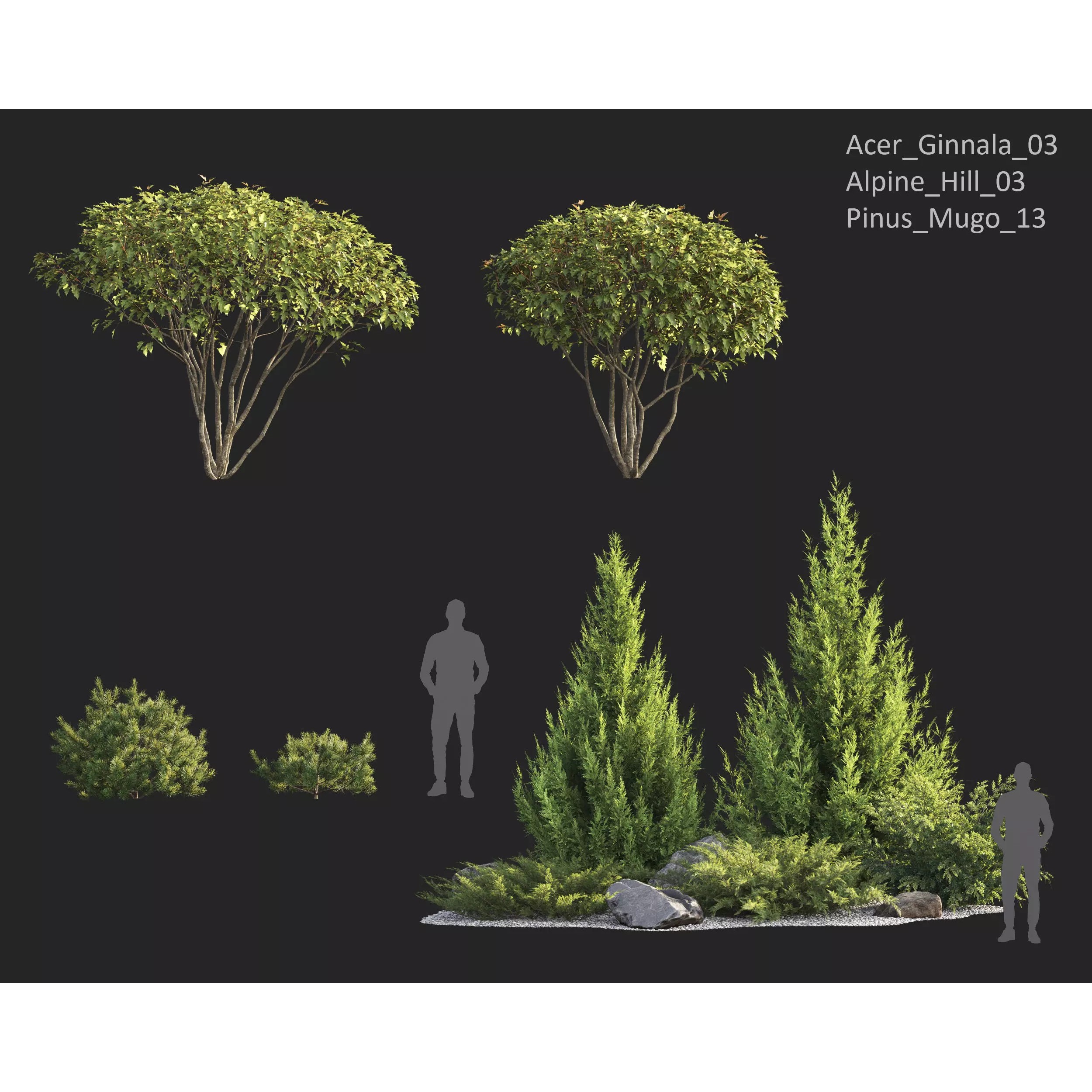 Plants Collection 1 - PBR Game-Ready 3D Model - View 7