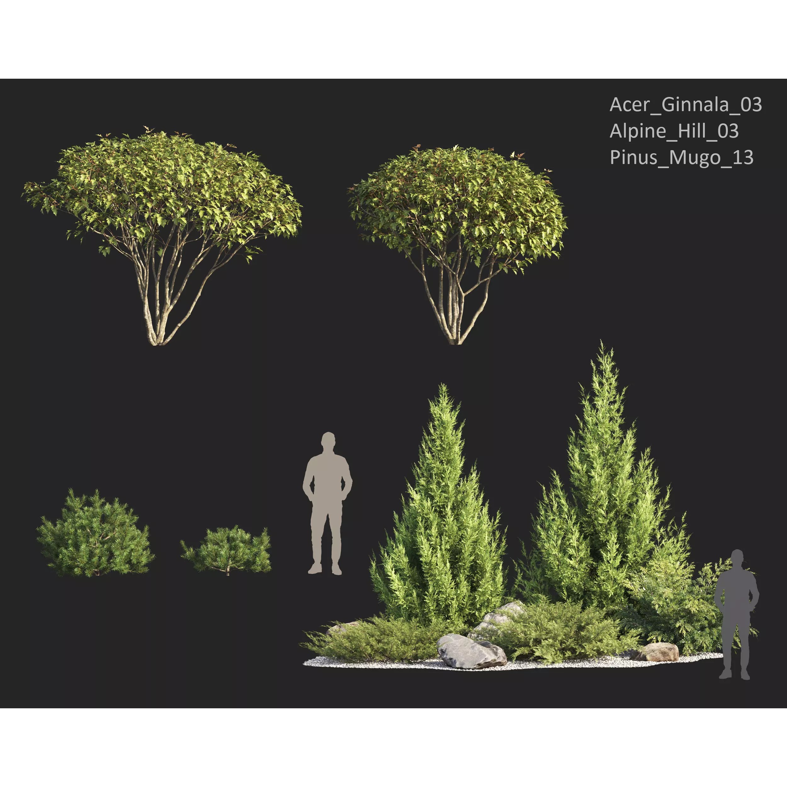 Plants Collection 1 - PBR Game-Ready 3D Model - View 8