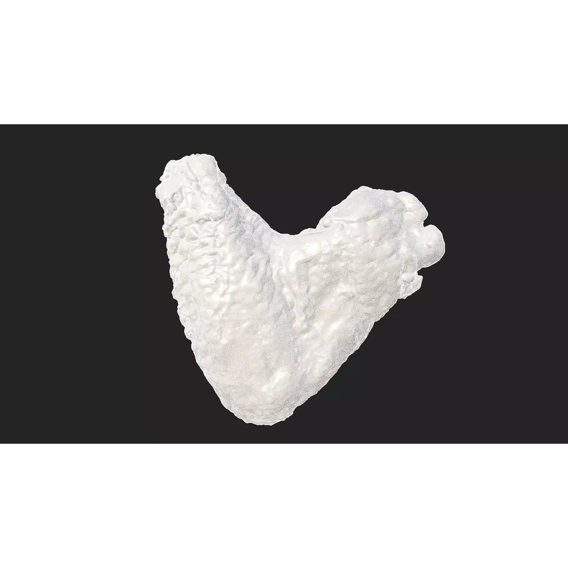 Chicken and Parts - Low-Poly Game-Ready 3D Model - View 13
