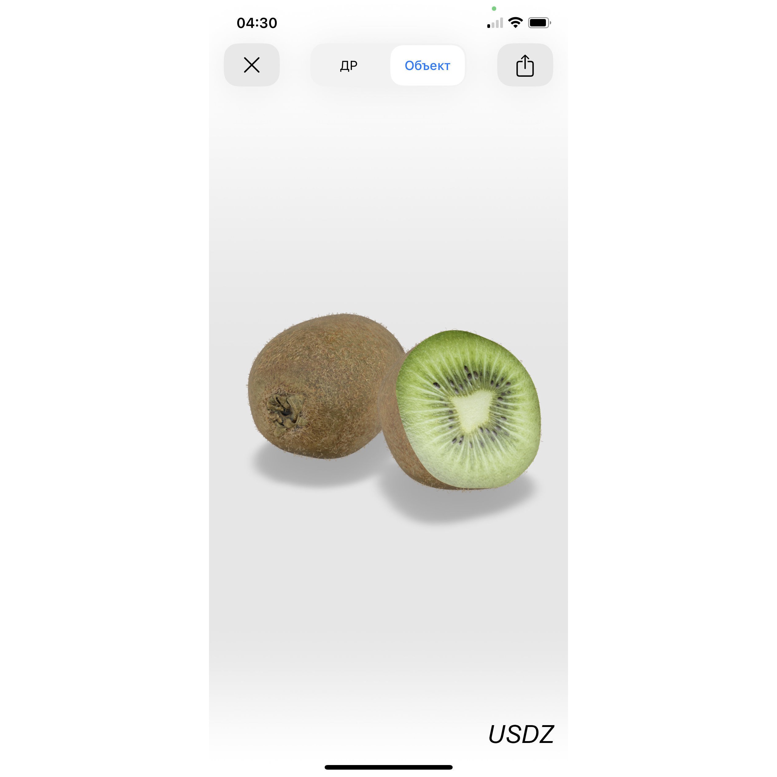Kiwi Fruit Whole And Cut - PBR Game-Ready 3D Model