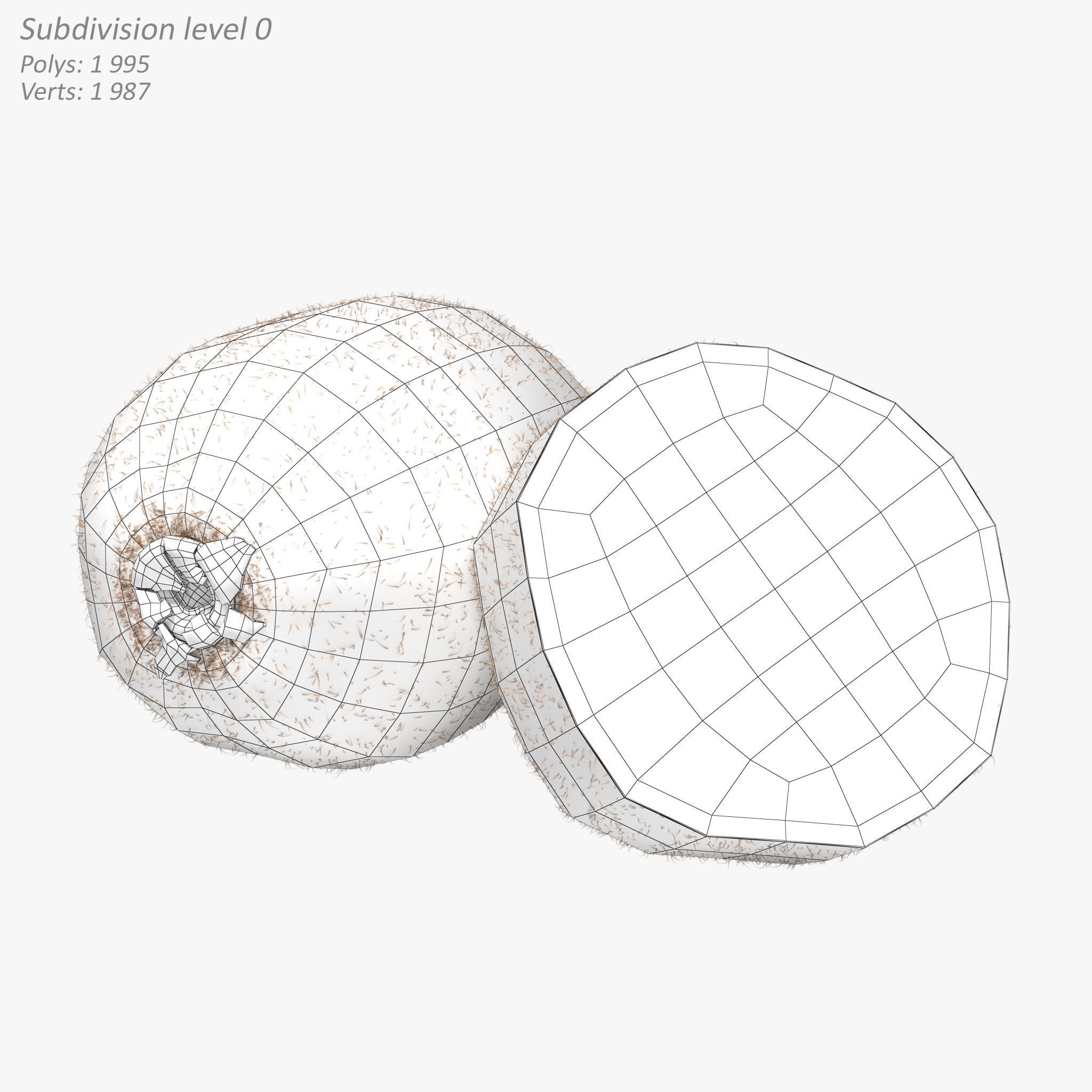 Kiwi Fruit Whole And Cut - PBR Game-Ready 3D Model - View 10