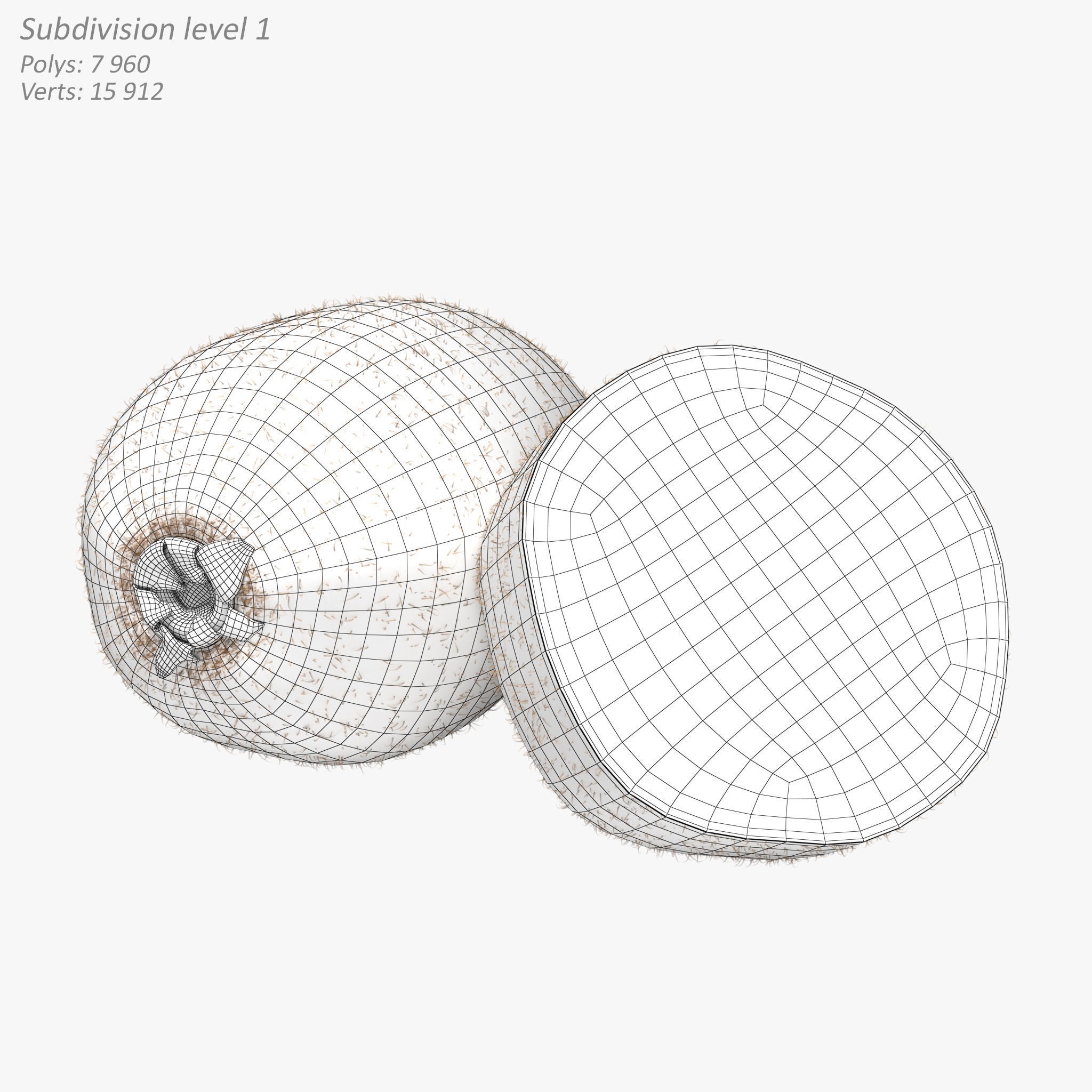 Kiwi Fruit Whole And Cut - PBR Game-Ready 3D Model - View 11