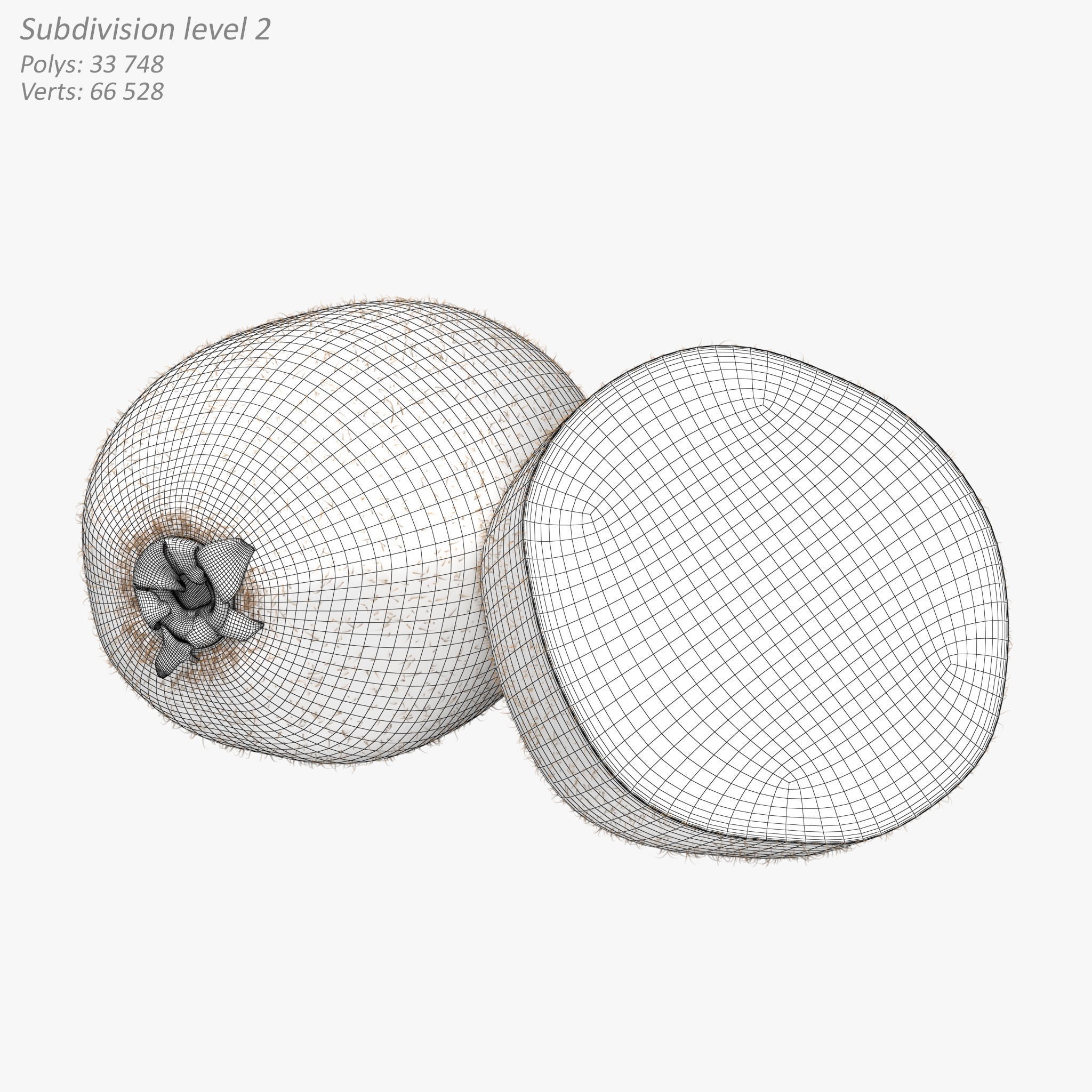 Kiwi Fruit Whole And Cut - PBR Game-Ready 3D Model - View 12