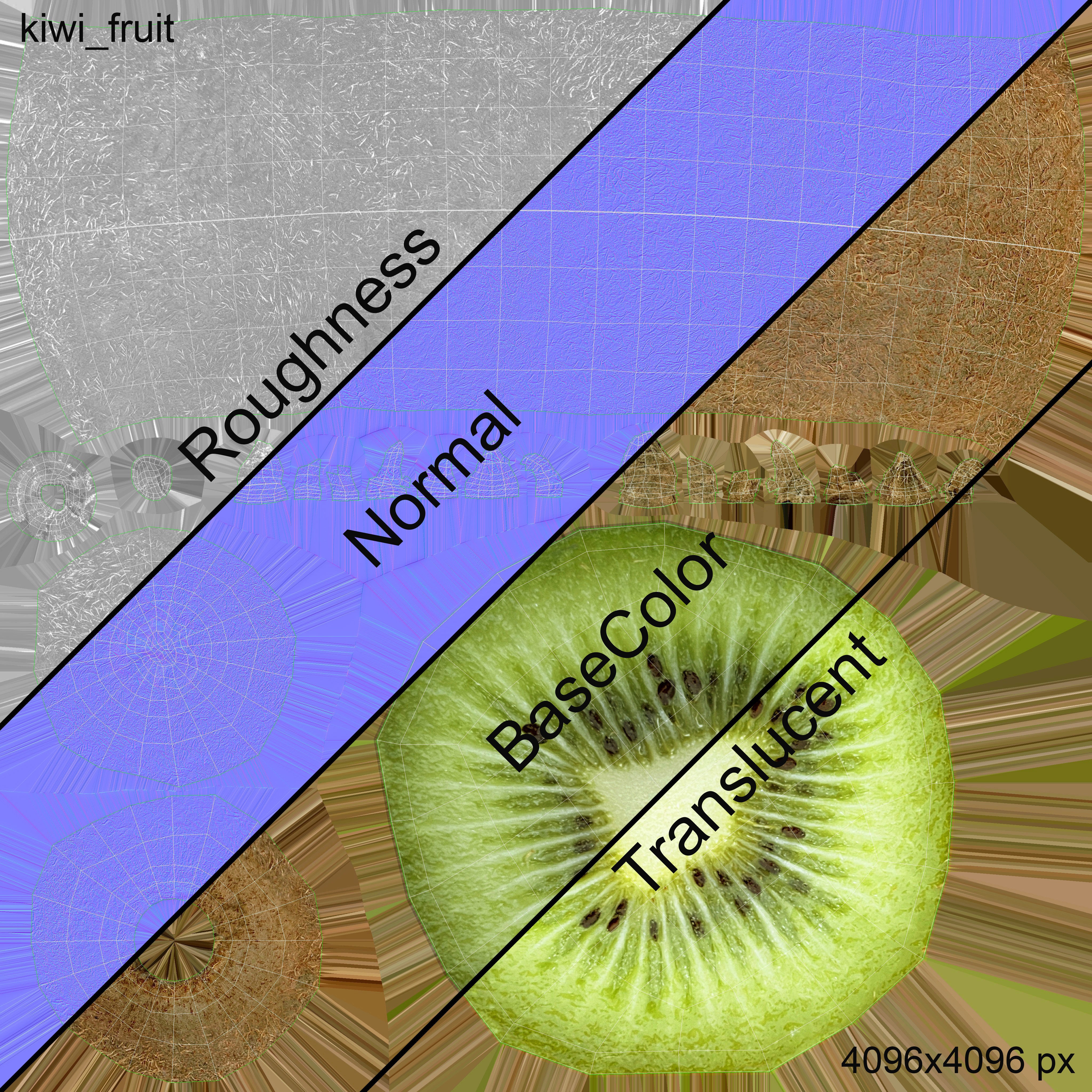 Kiwi Fruit Whole And Cut - PBR Game-Ready 3D Model - View 14