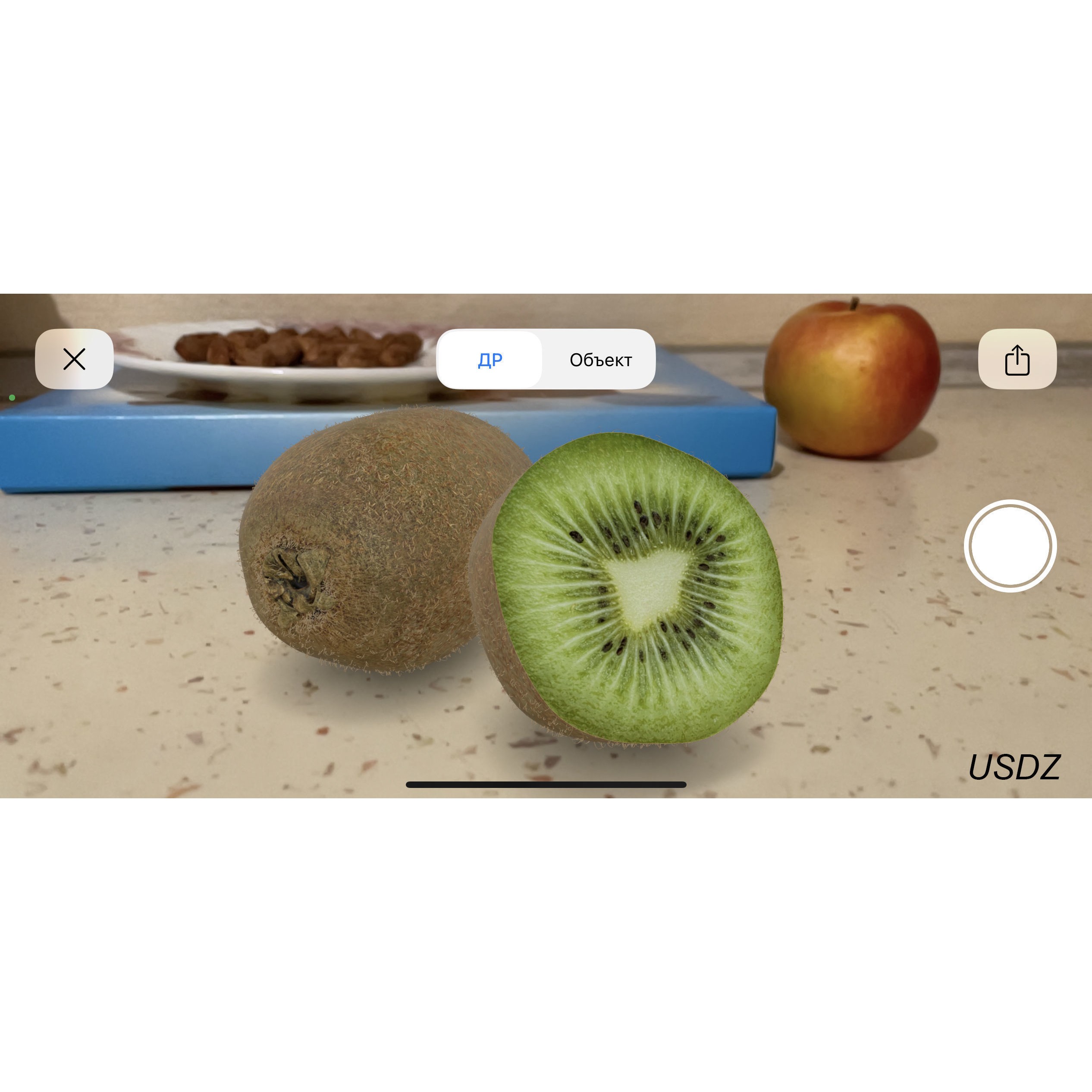 Kiwi Fruit Whole And Cut - PBR Game-Ready 3D Model - View 15