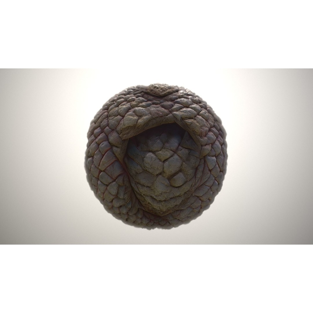 Monster Skin 3D Model – Seamless PBR Texture Pack, FBX