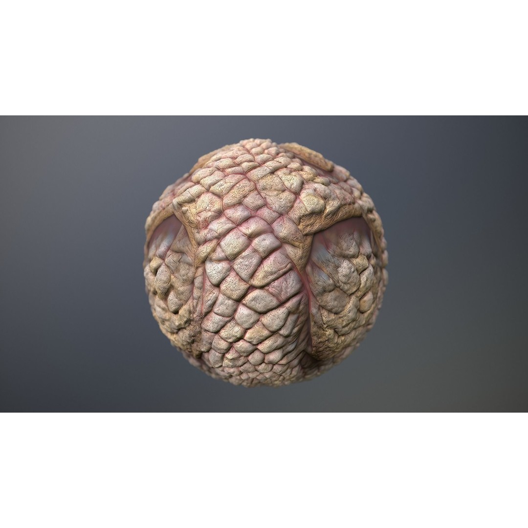 Monster Skin 3D Model – Seamless PBR Texture Pack, FBX - View 10