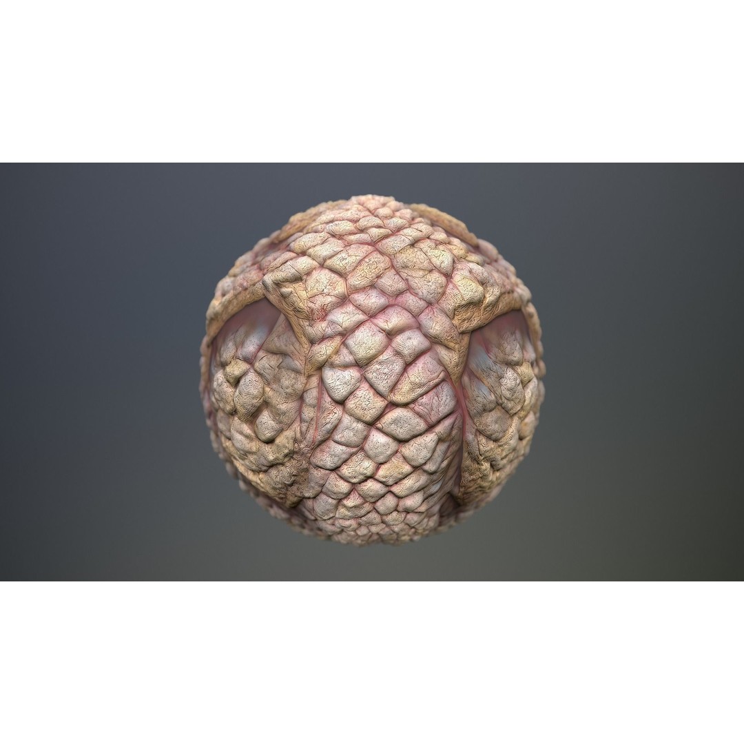 Monster Skin 3D Model – Seamless PBR Texture Pack, FBX - View 12
