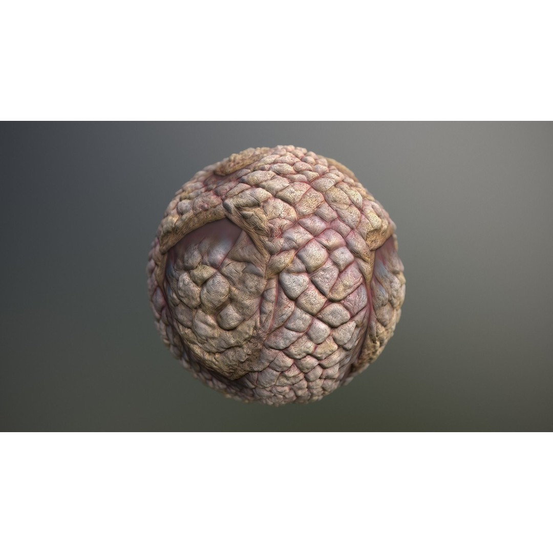 Monster Skin 3D Model – Seamless PBR Texture Pack, FBX - View 13