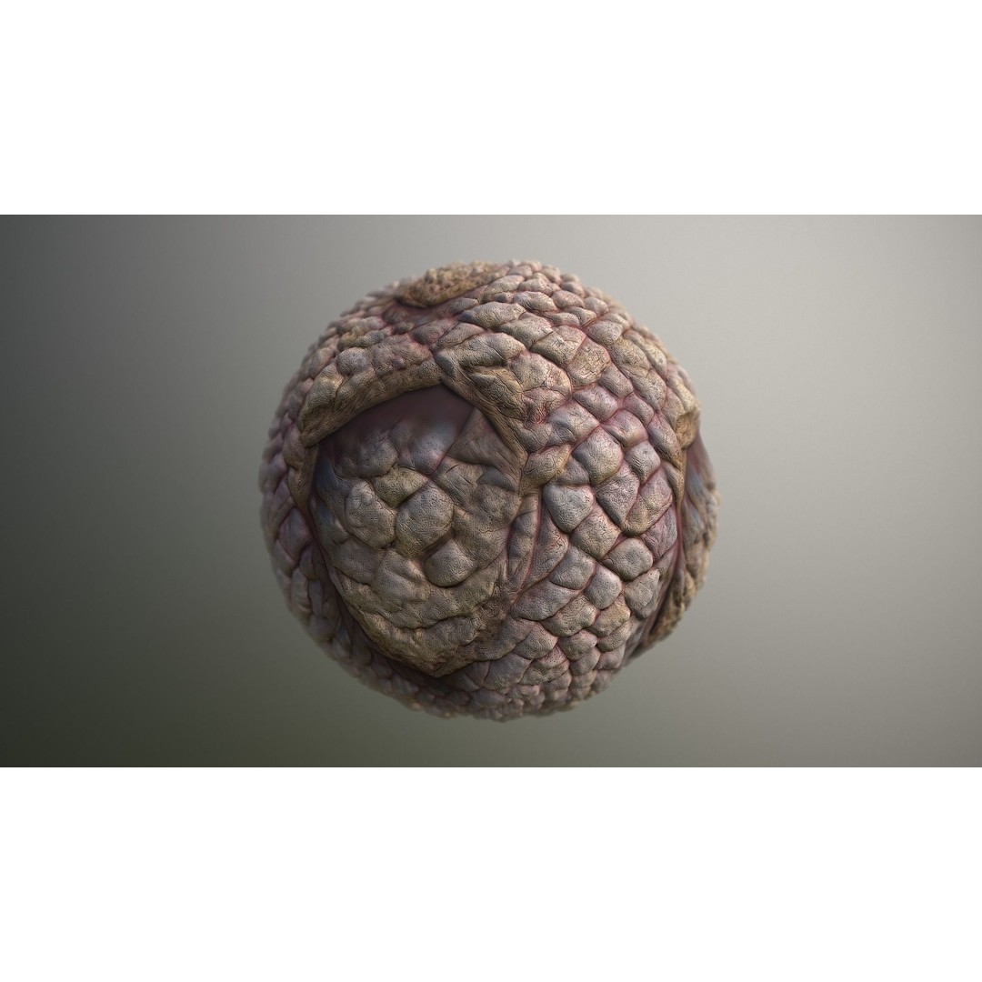 Monster Skin 3D Model – Seamless PBR Texture Pack, FBX - View 16