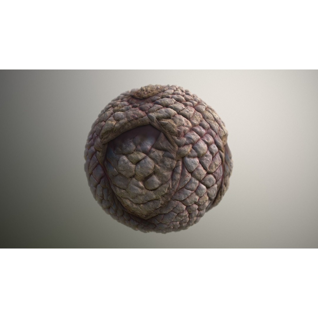 Monster Skin 3D Model – Seamless PBR Texture Pack, FBX - View 17
