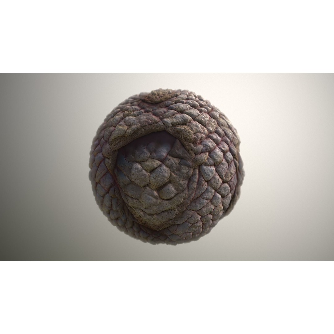 Monster Skin 3D Model – Seamless PBR Texture Pack, FBX - View 18