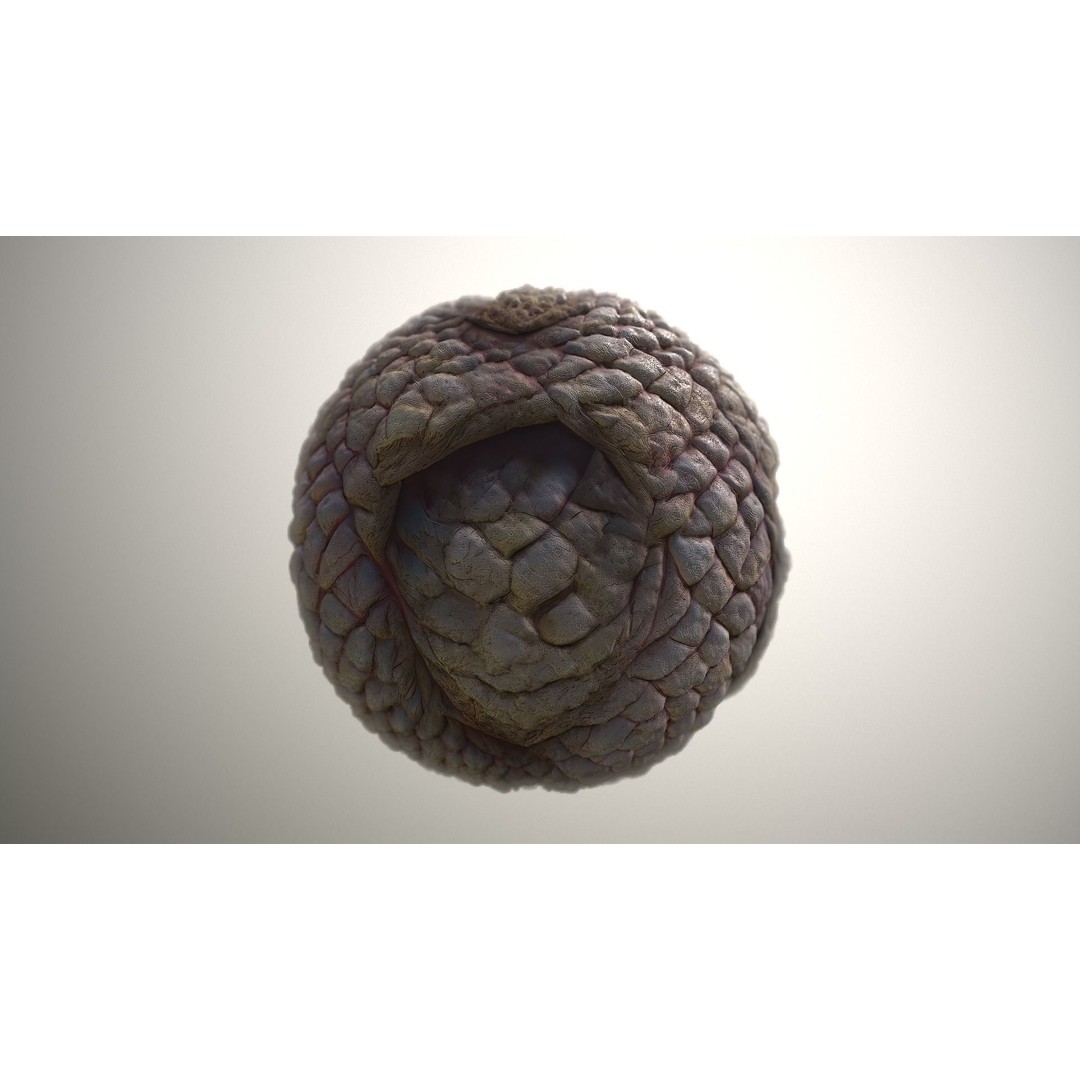 Monster Skin 3D Model – Seamless PBR Texture Pack, FBX - View 19