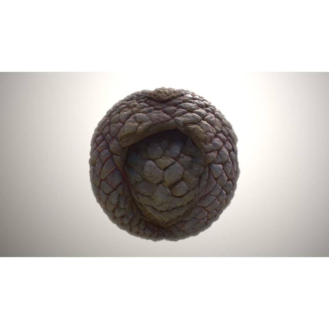 Monster Skin 3D Model – Seamless PBR Texture Pack, FBX - View 20
